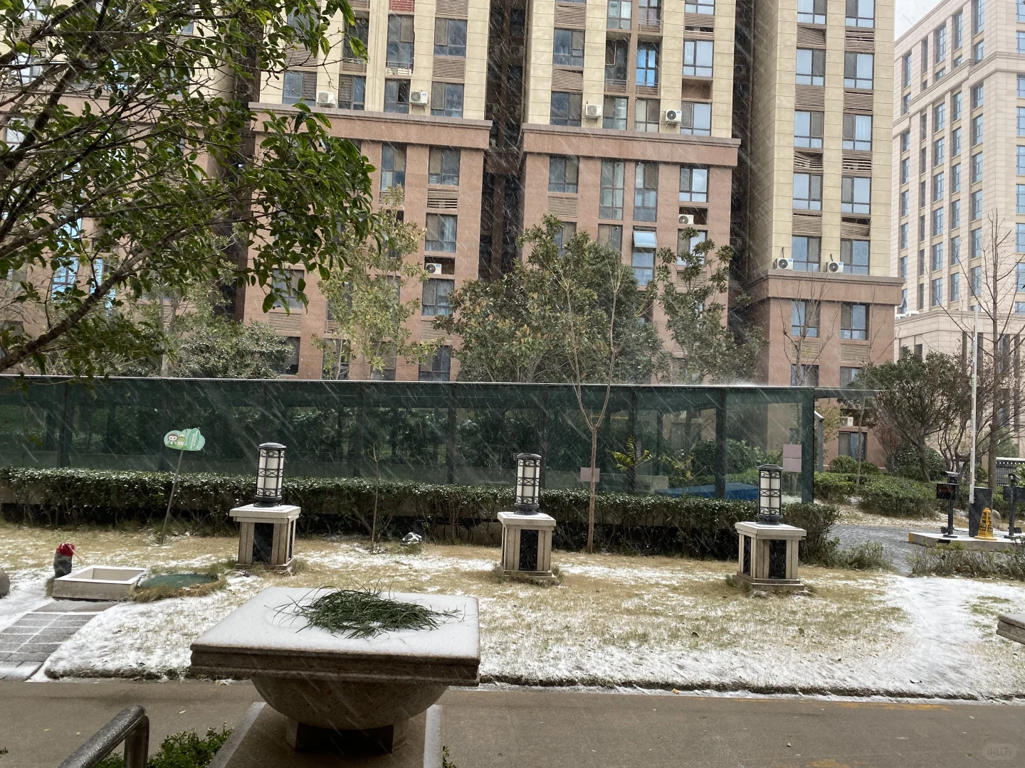 郑州12号的初雪，让我也赶上啦❄️