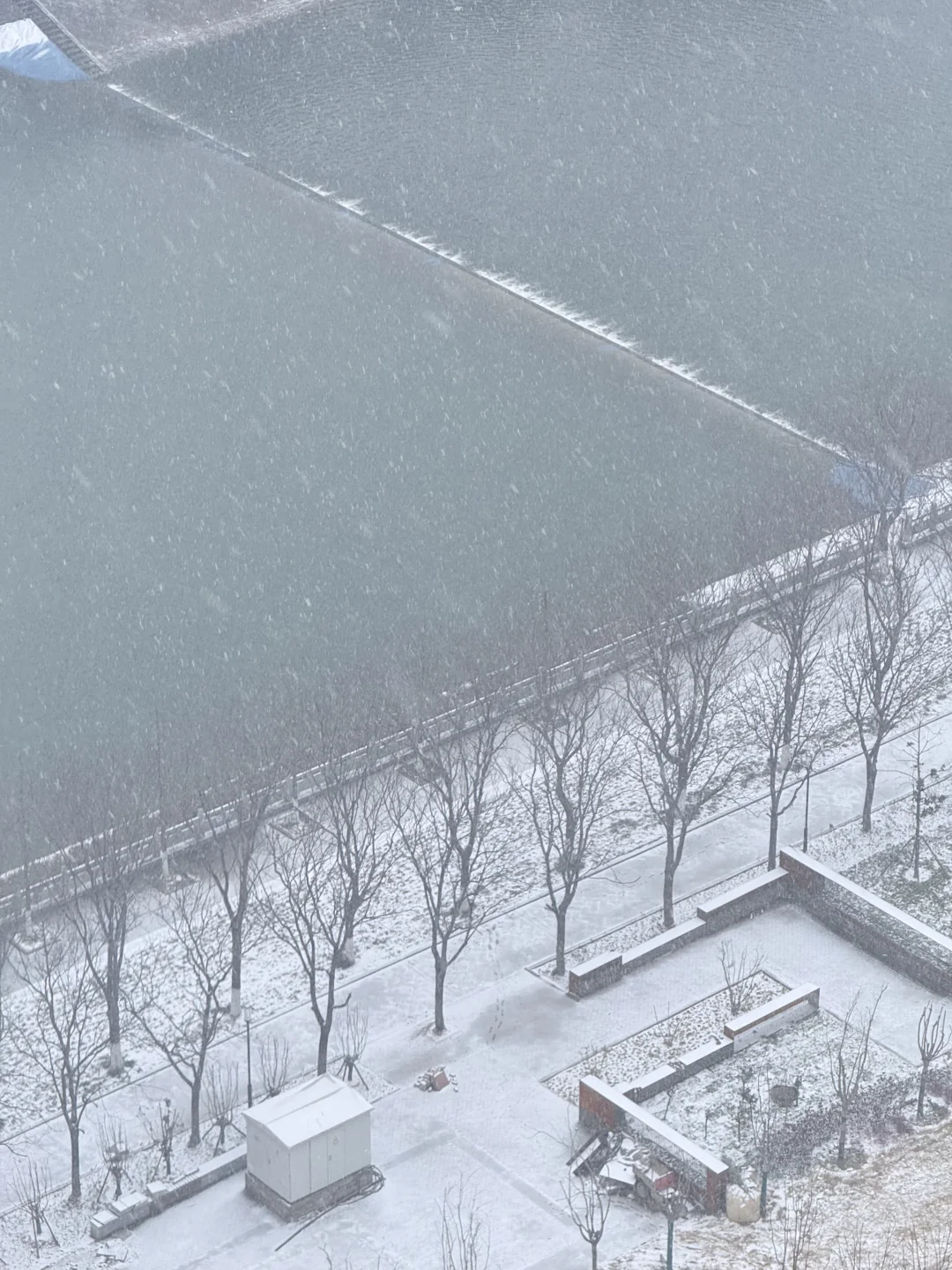 下大雪了 谁敢信这是郑州