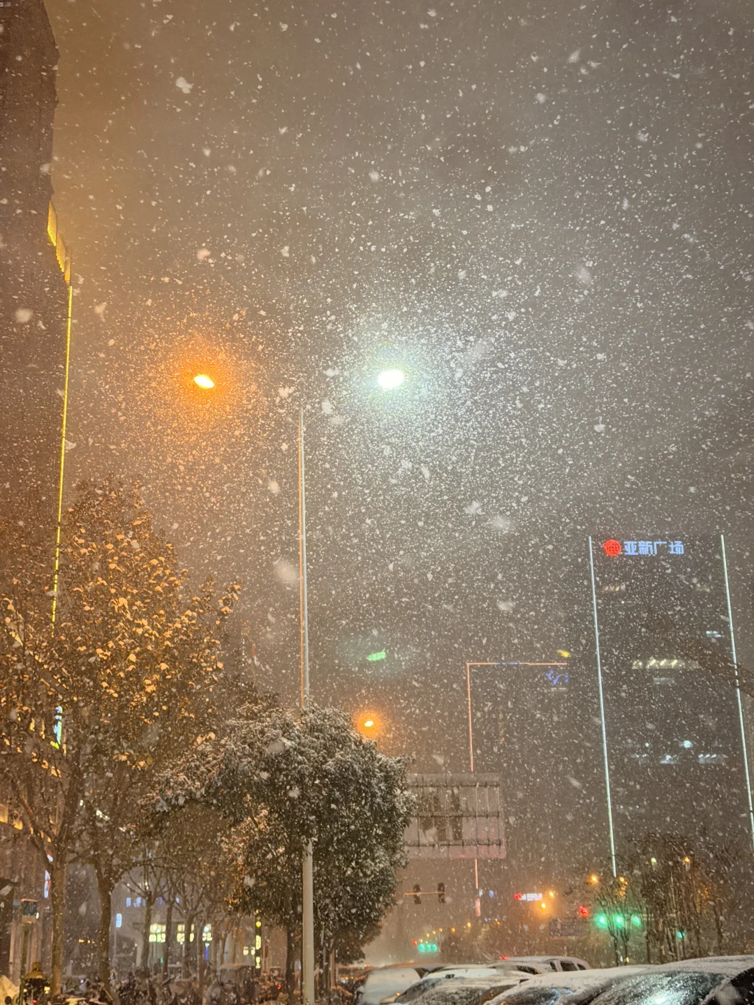 郑州的大雪❄️
