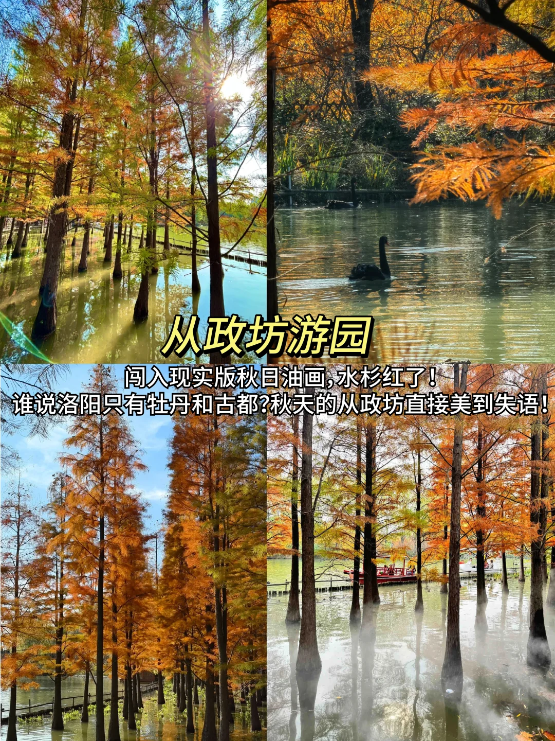 强烈推荐‼️洛阳9个免费景点合集📸