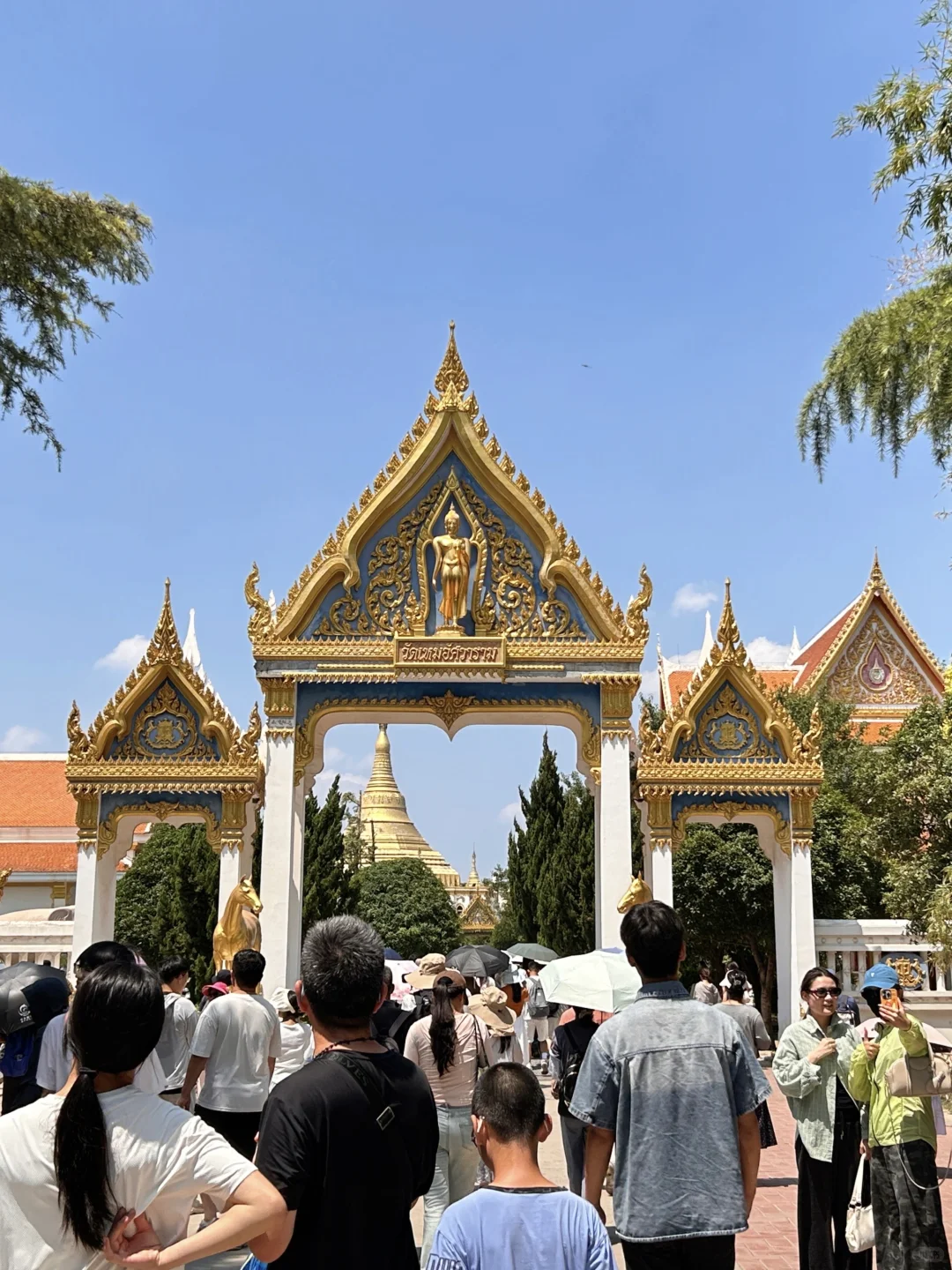 洛阳白马寺｜本地人私藏的治愈系玩法🌿