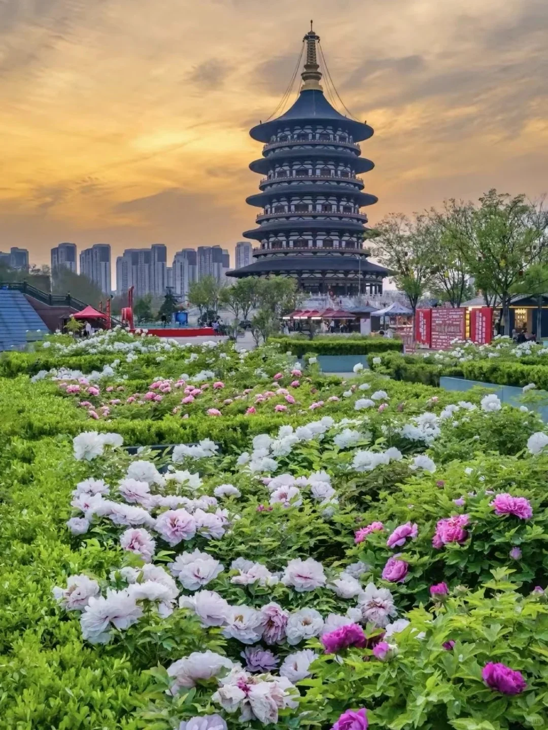 我宣布！看完这篇攻略教你一网打尽洛阳繁华