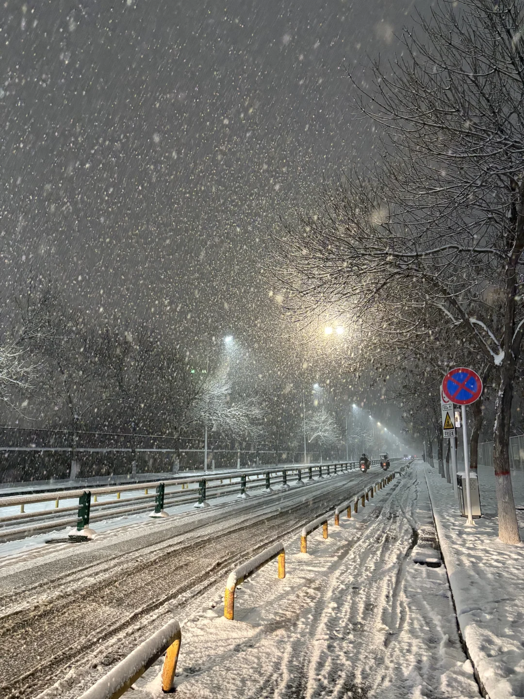 郑州大雪如约而至🌨️🌨️