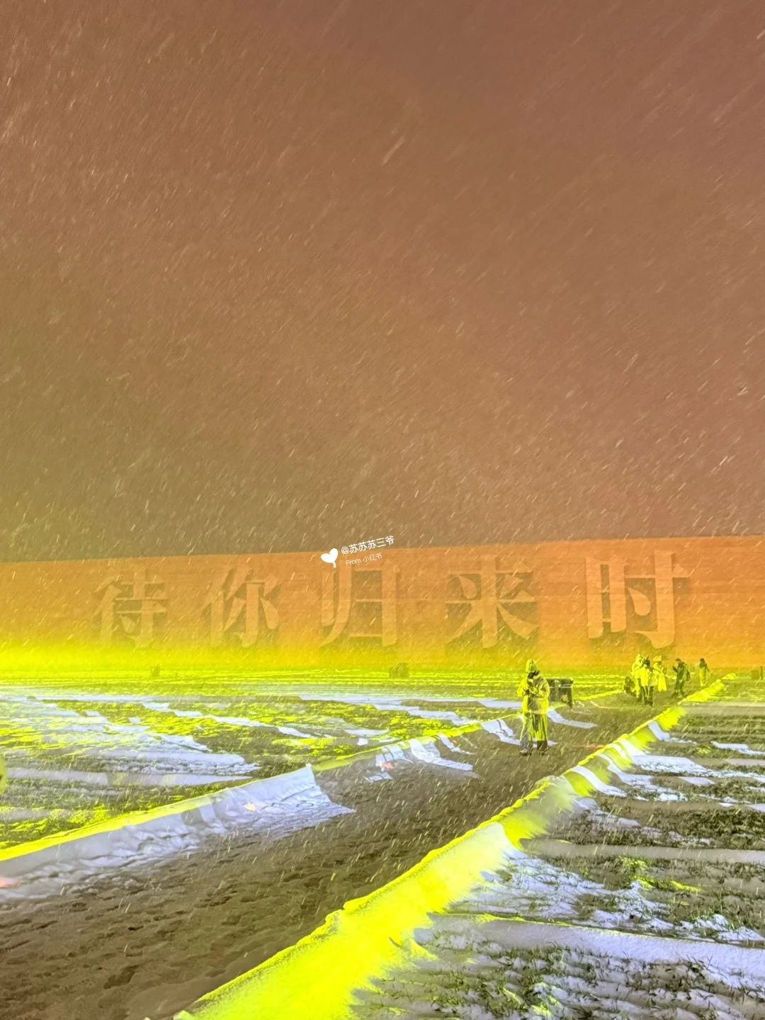 握天！！只有河南下雪这么美！！！