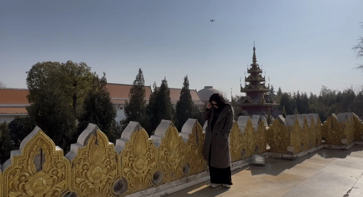 郑州出发洛阳一日游｜白马寺+龙门石窟