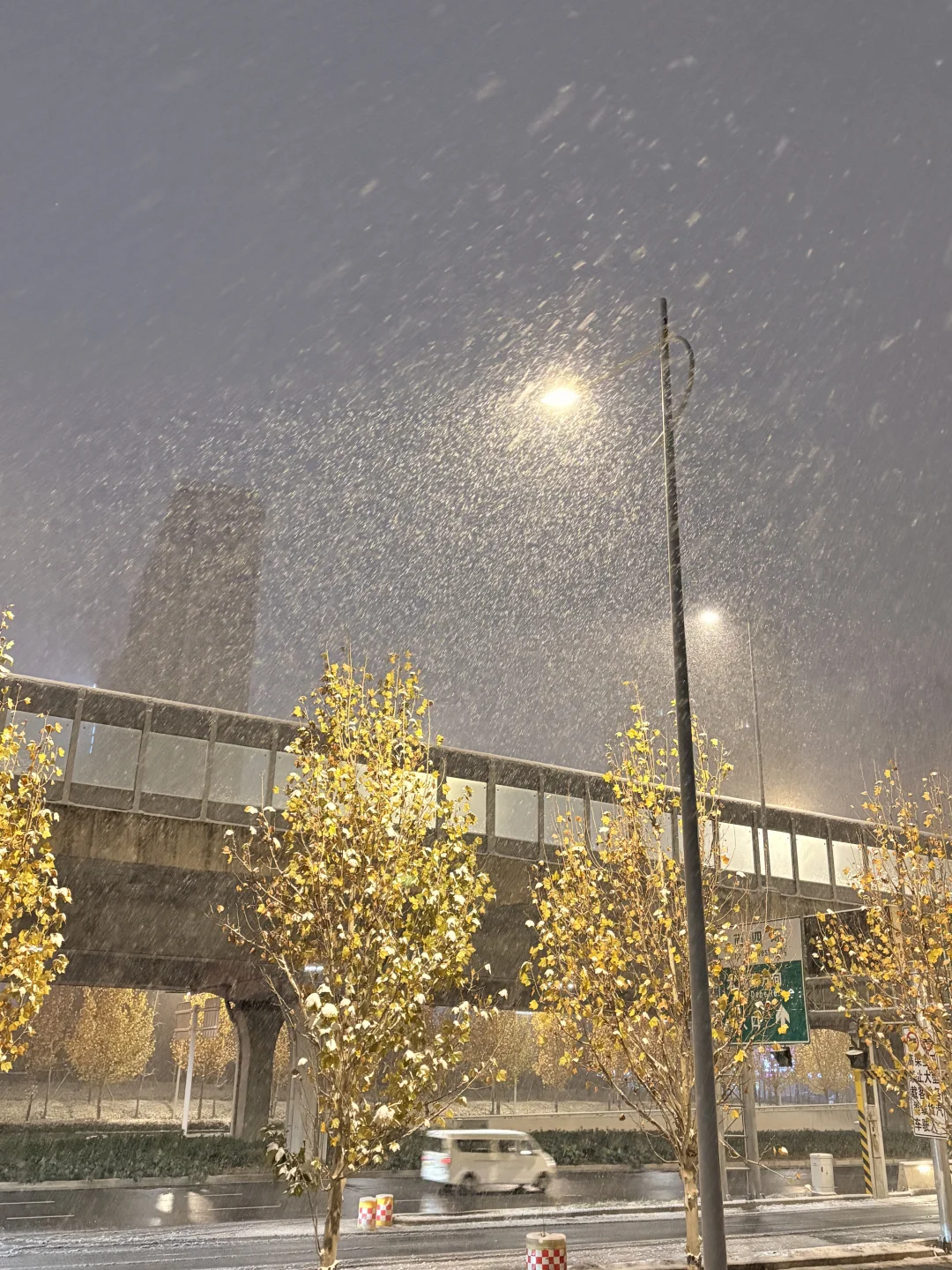 郑州大雪如约而至🌨️🌨️