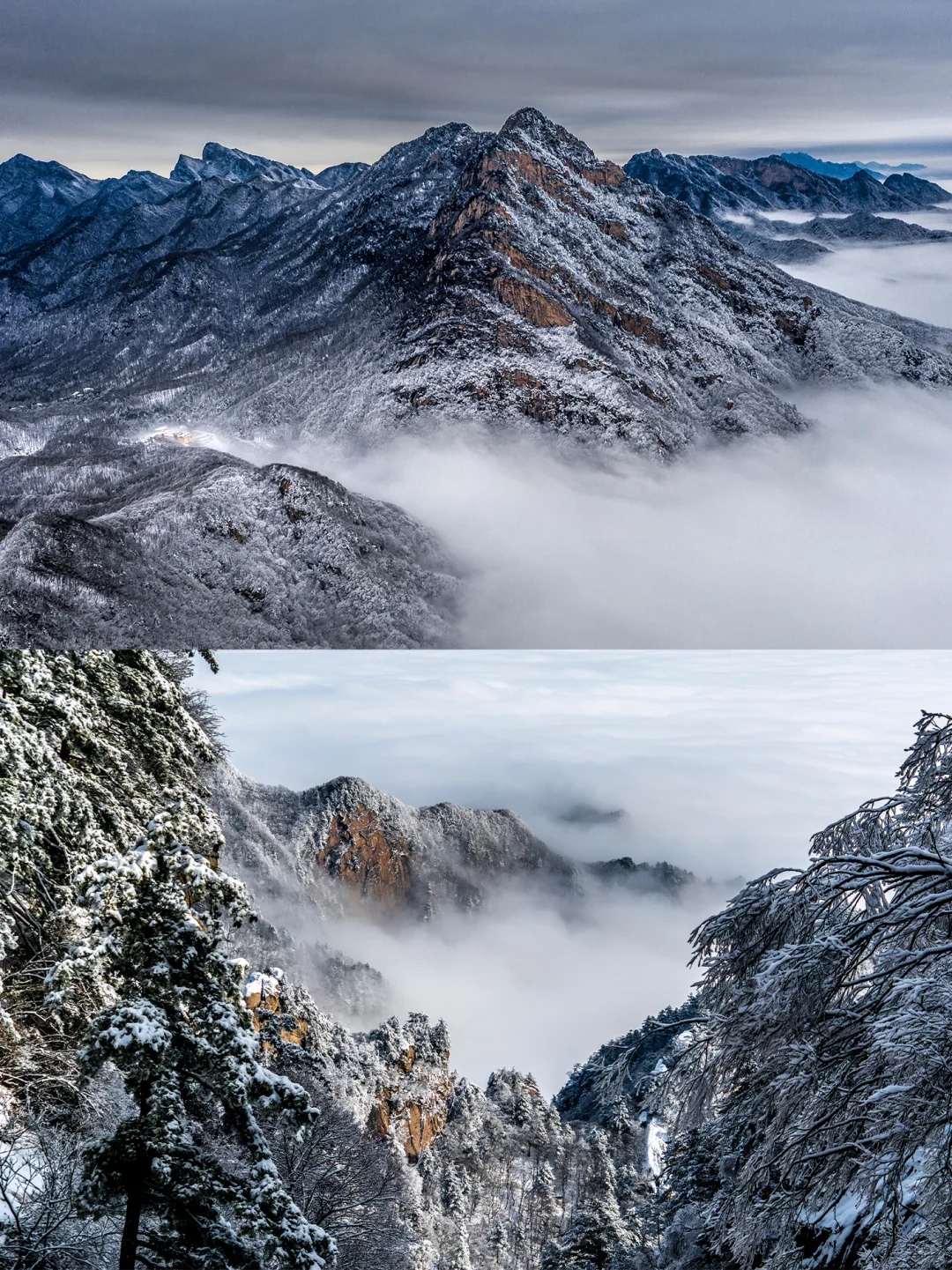 洛阳白云山大雪预警❗️中原雪乡来啦！