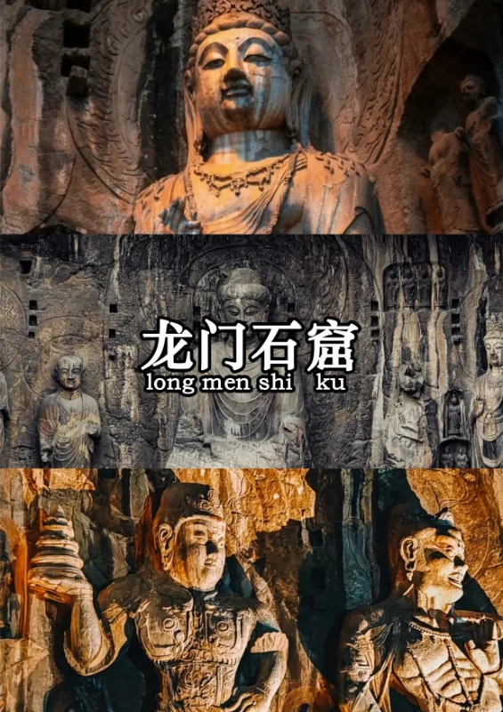 ✨洛阳定制游「神都穿越指南」🏮