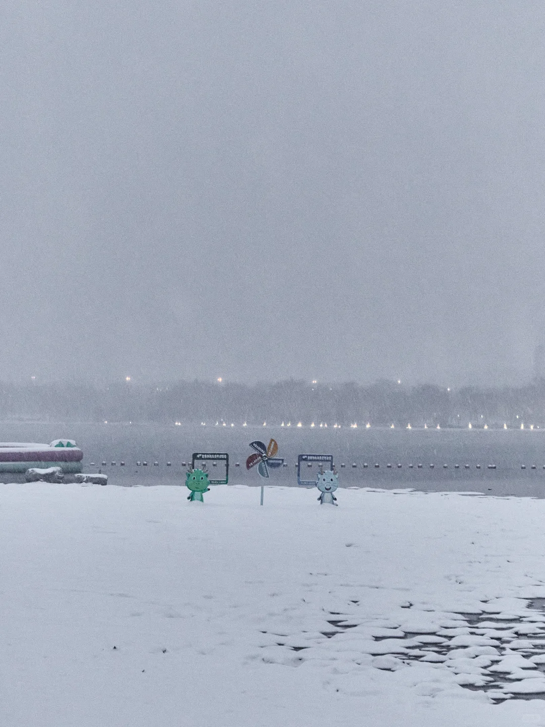 终于拍到郑州的雪景了，好美啊！！