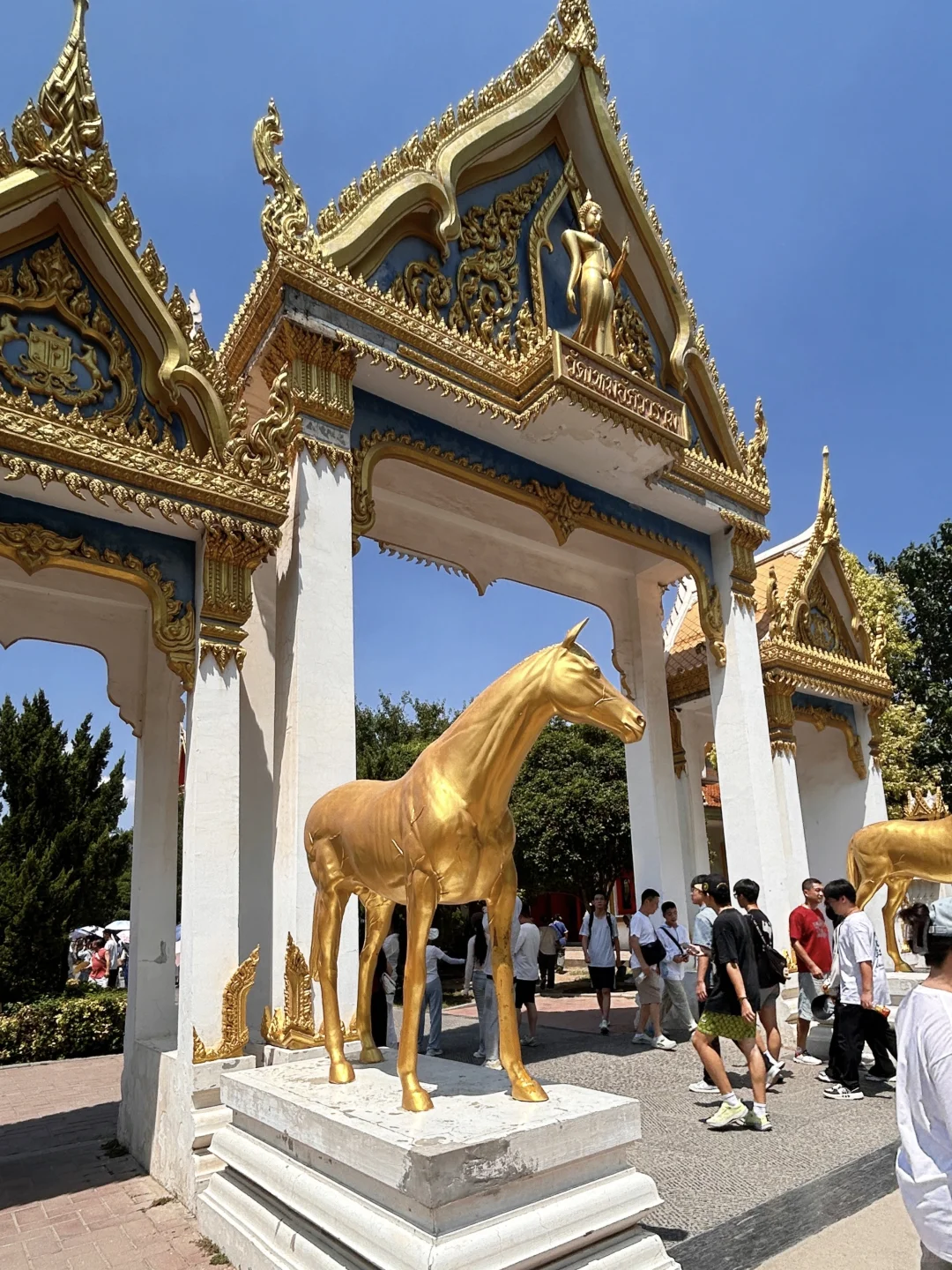 洛阳白马寺｜本地人私藏的治愈系玩法🌿