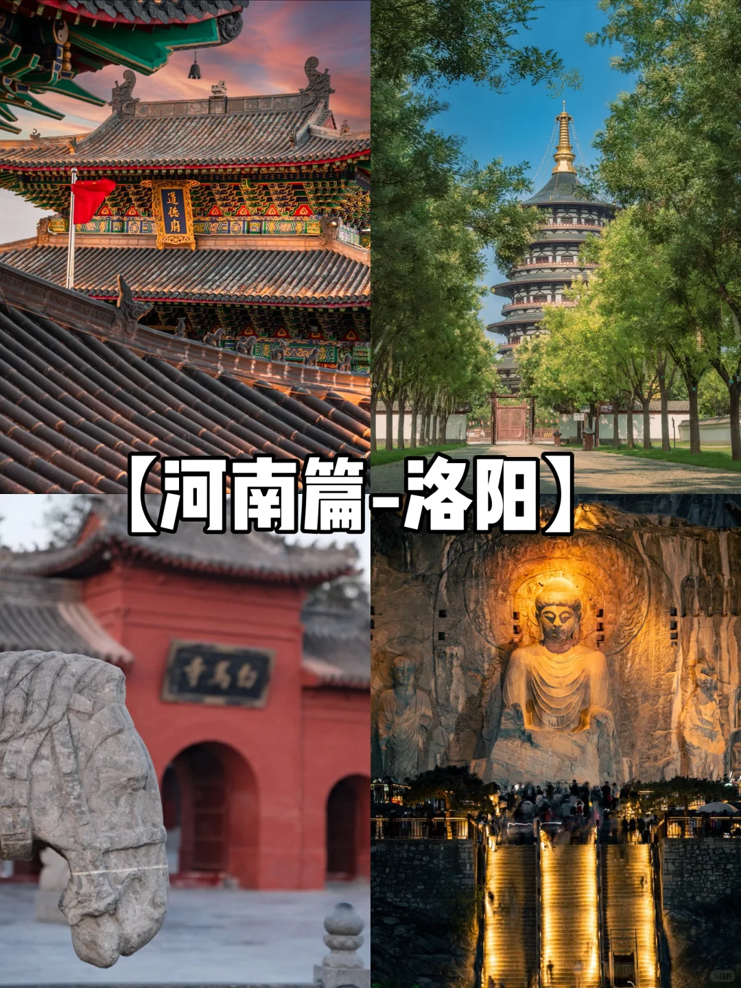 【河南篇-洛阳】洛阳很美，下次还来