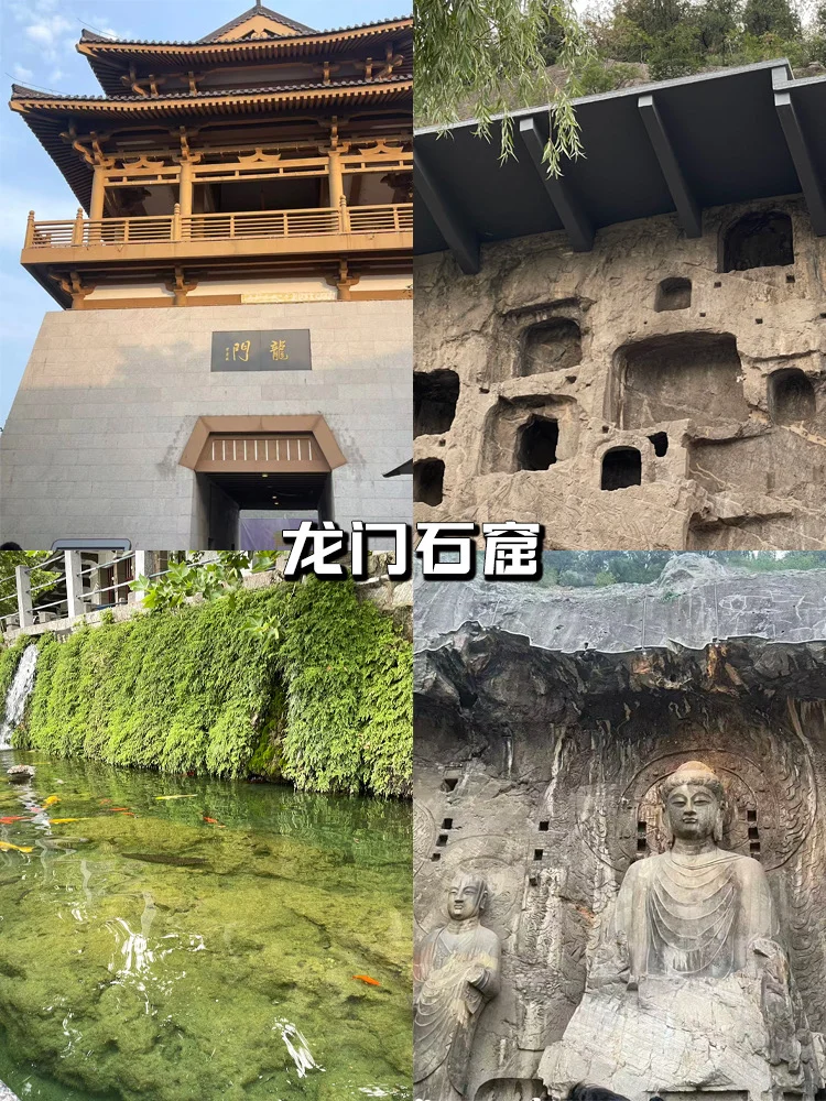 🏮洛阳亲子游攻略❗️四天三晚自驾避坑指南～