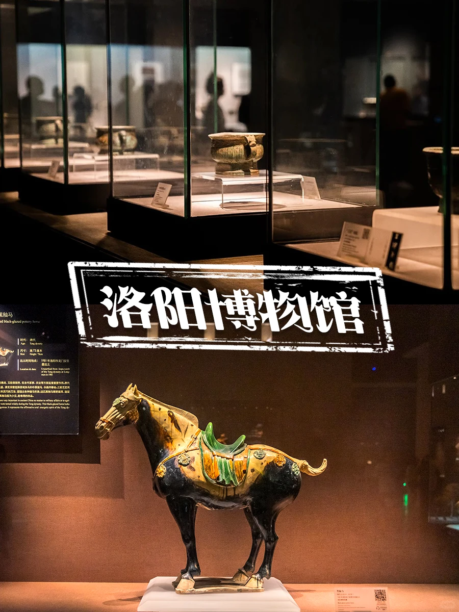 洛阳私人订制💯让您满意