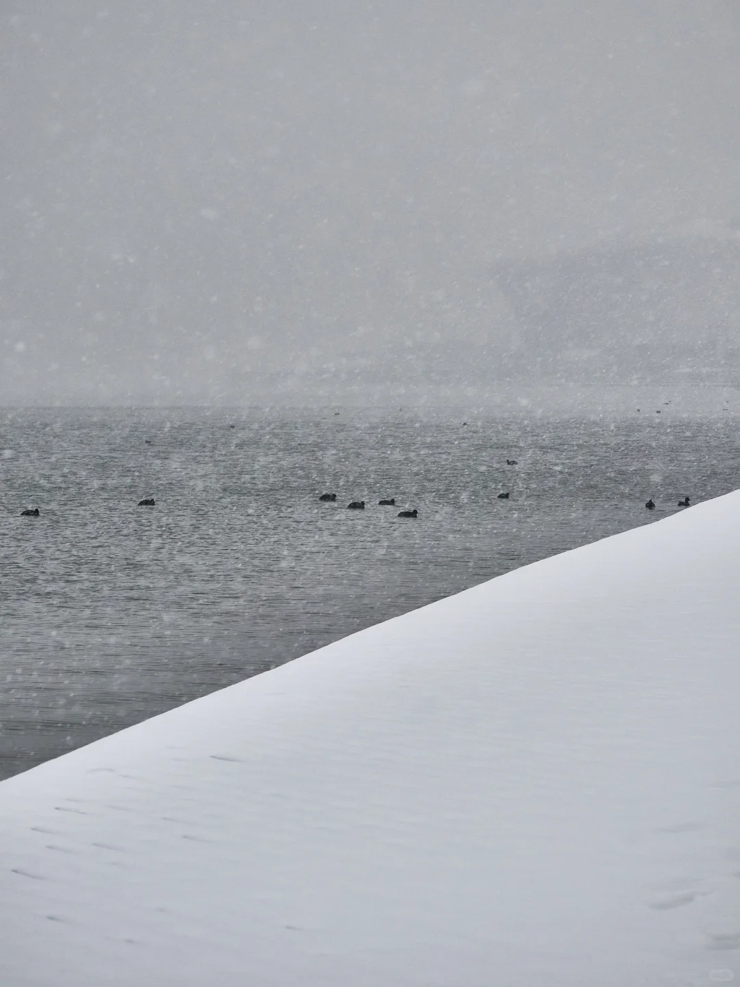 终于拍到郑州的雪景了，好美啊！！