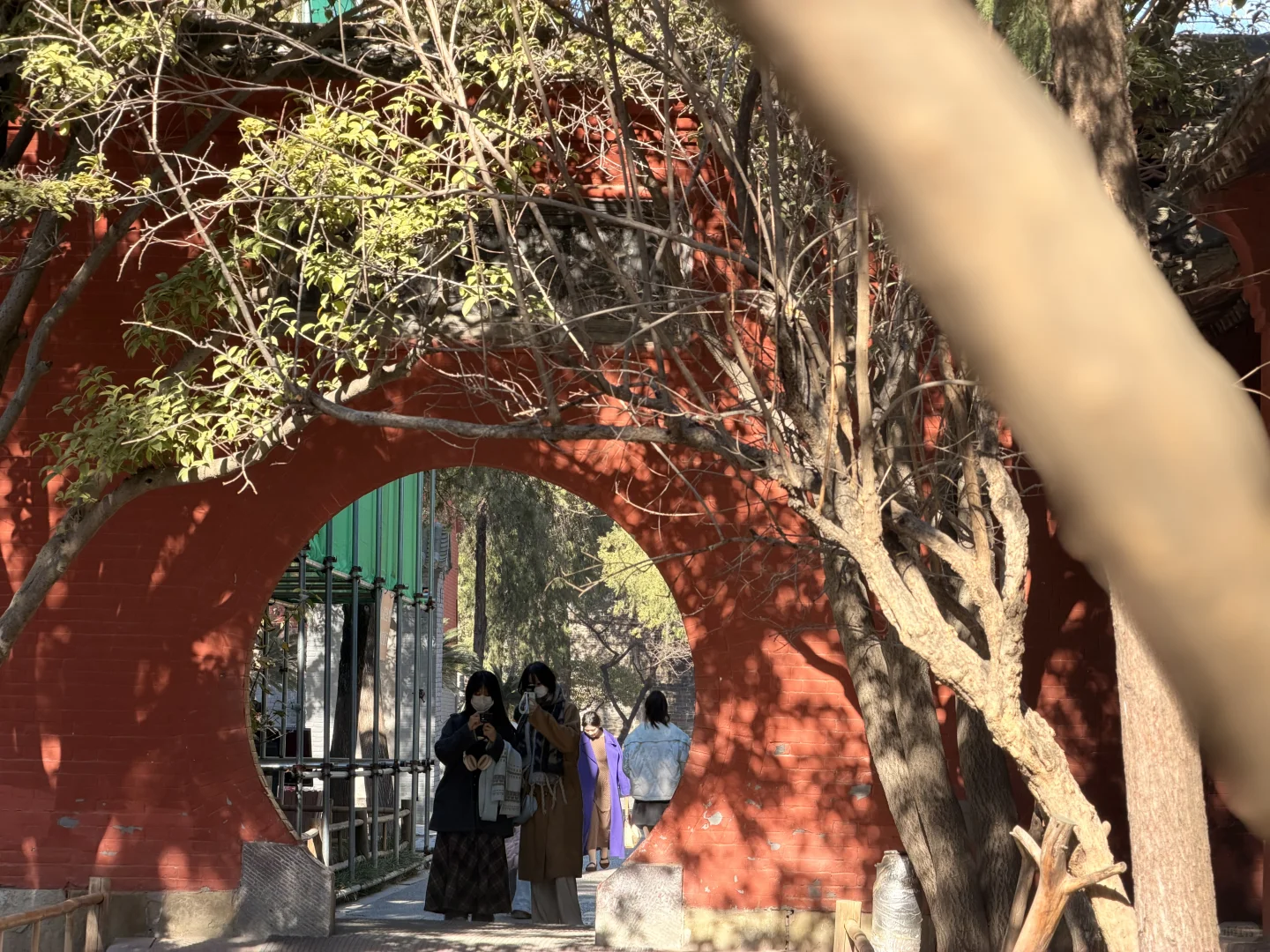 千年禅意落掌心｜遇见洛阳白马寺