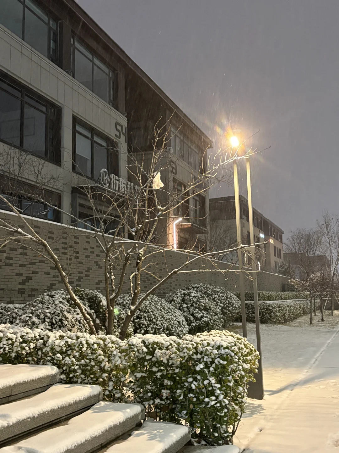 郑州大雪如约而至🌨️🌨️