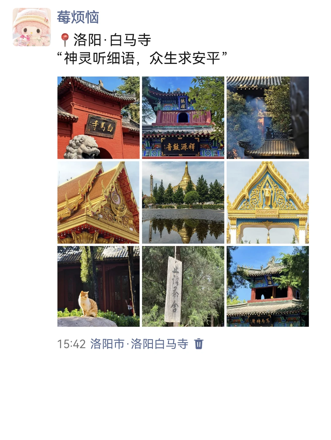 至于吗😓这姐去洛阳整整发了10条朋友圈啊
