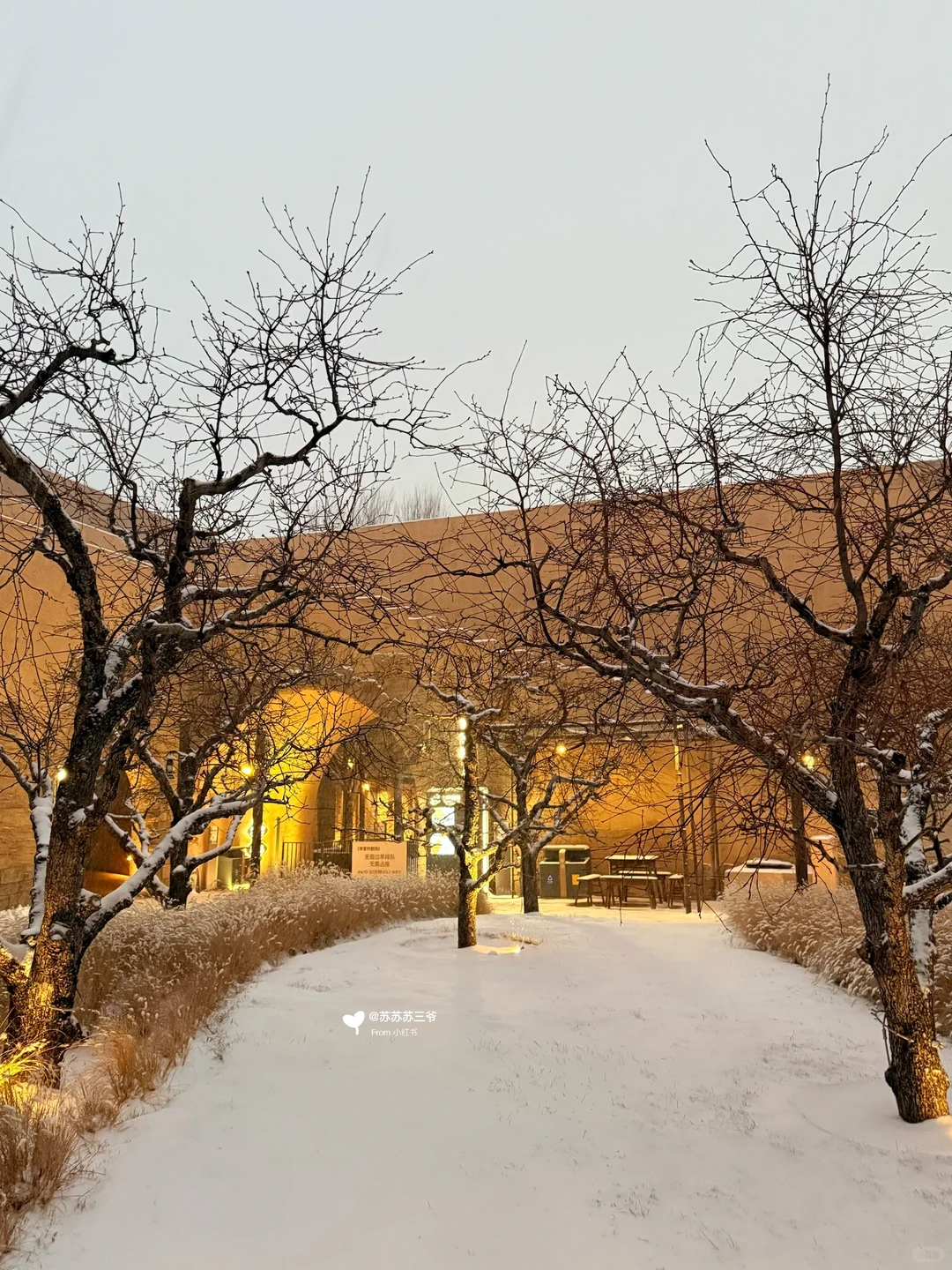 握天！！只有河南下雪这么美！！！