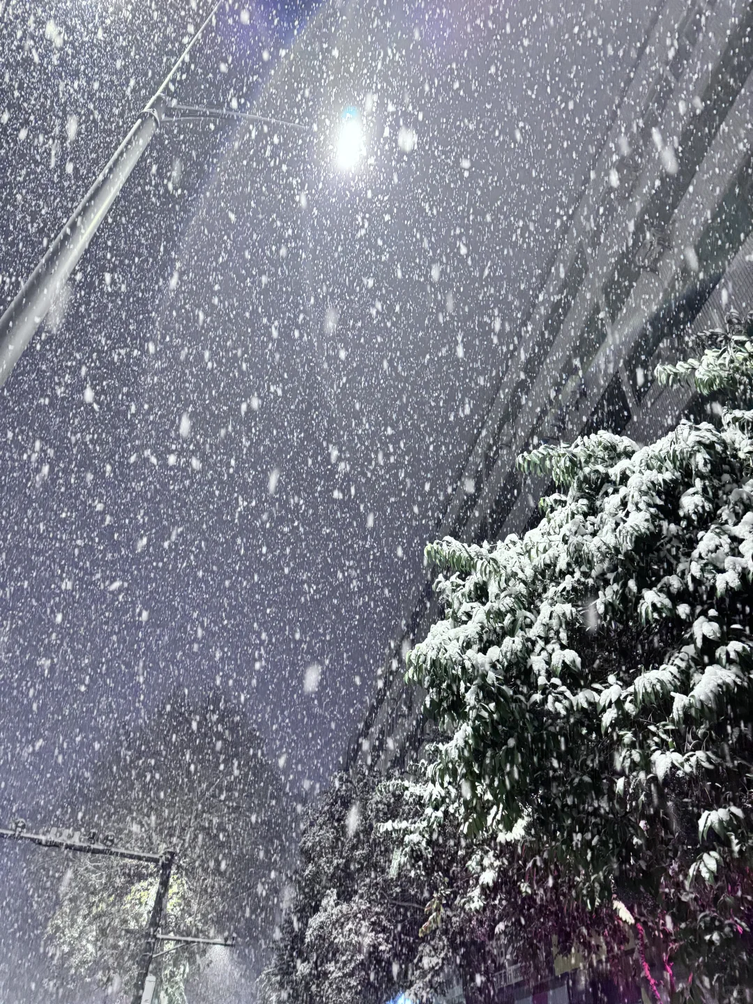 12月12郑州大雪实况