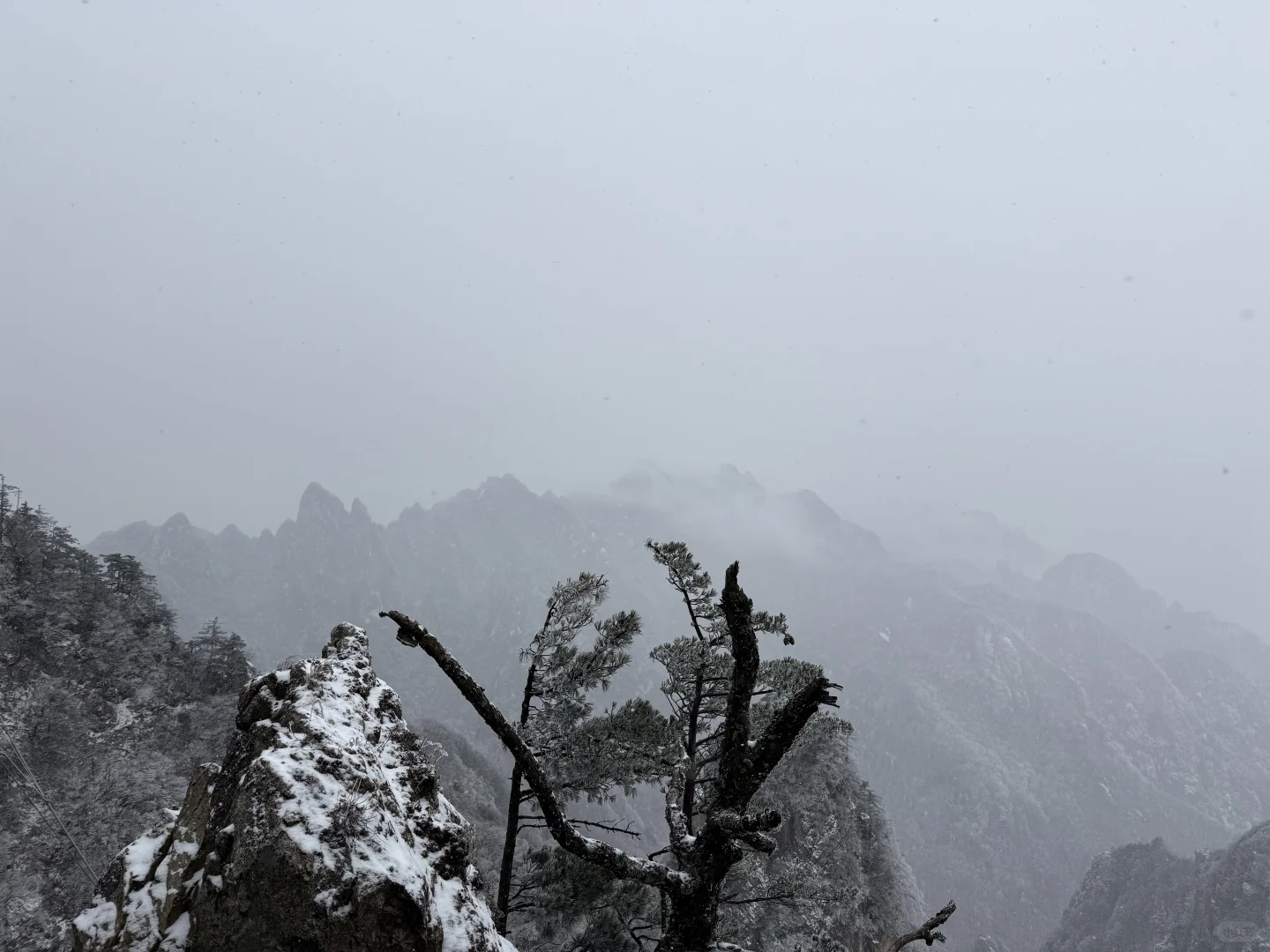 第一次独自旅行城市：洛阳