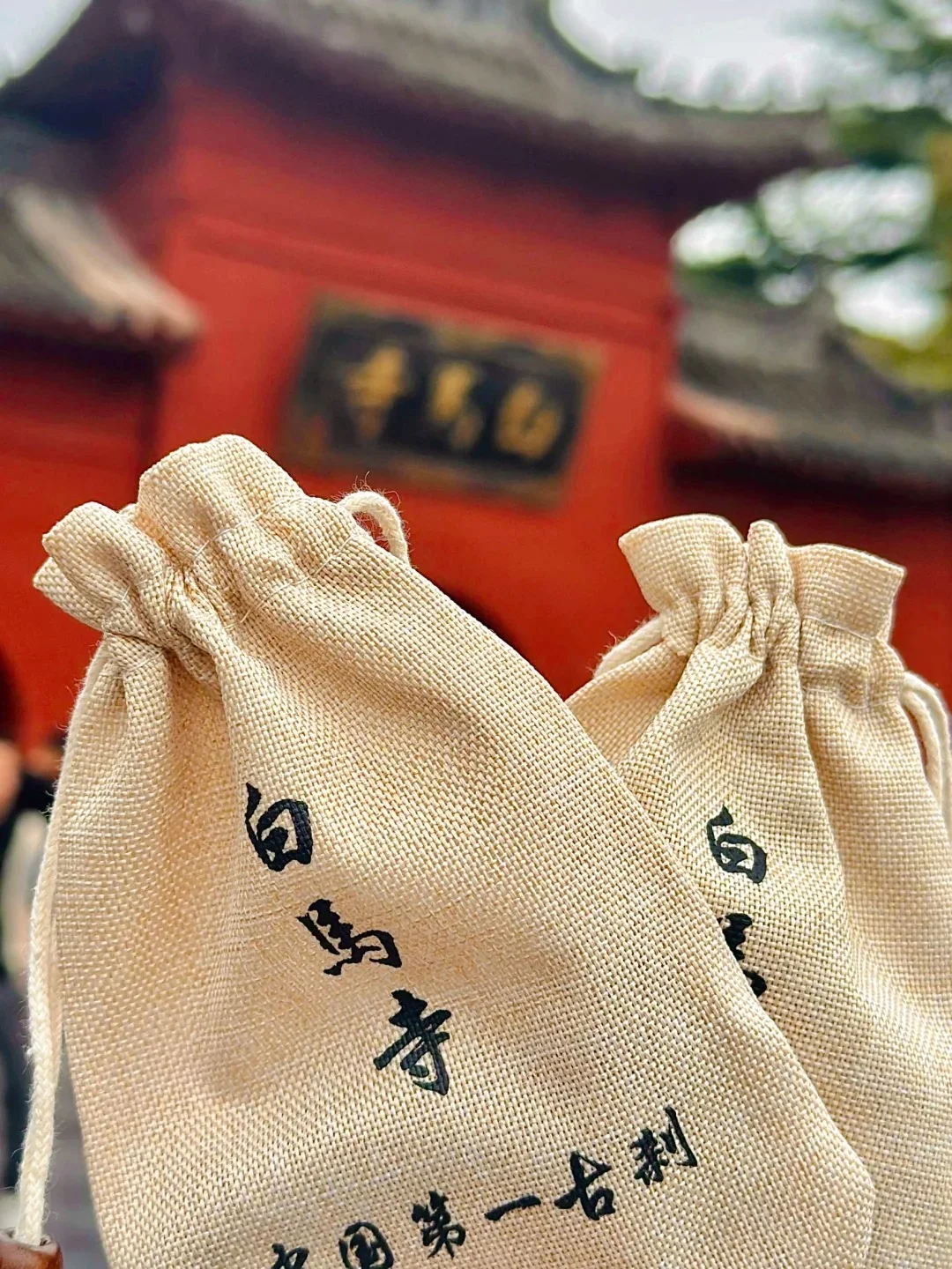 我宣布！看完这篇攻略教你一网打尽洛阳繁华