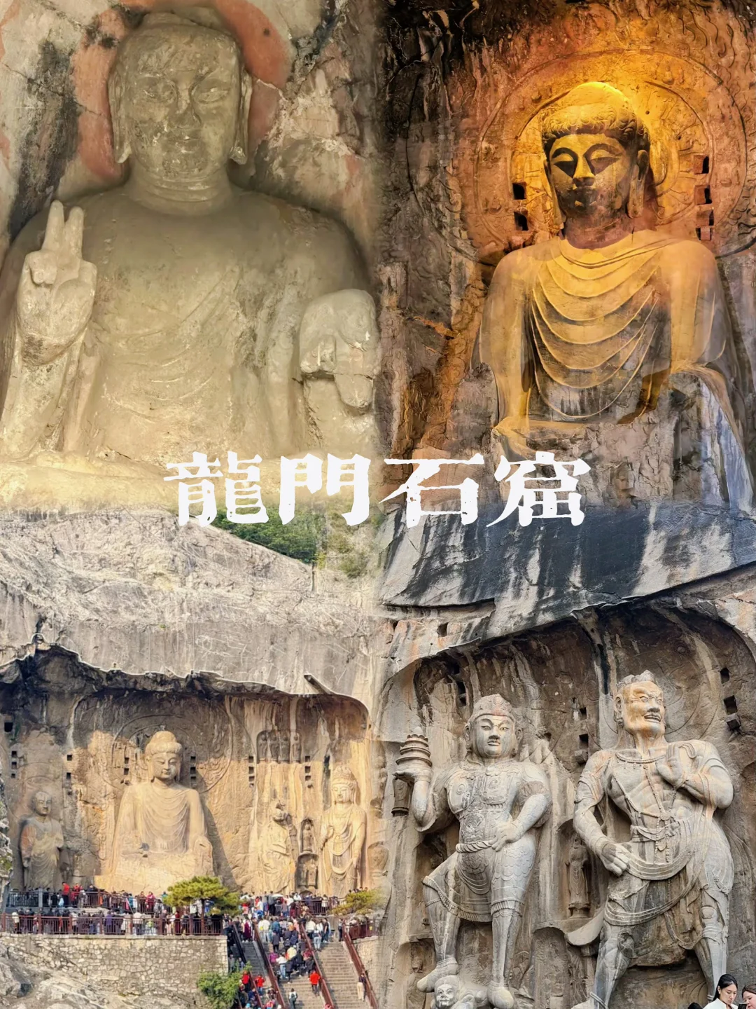 来洛阳看这一篇就够了✅超详细行程攻略👏🏻