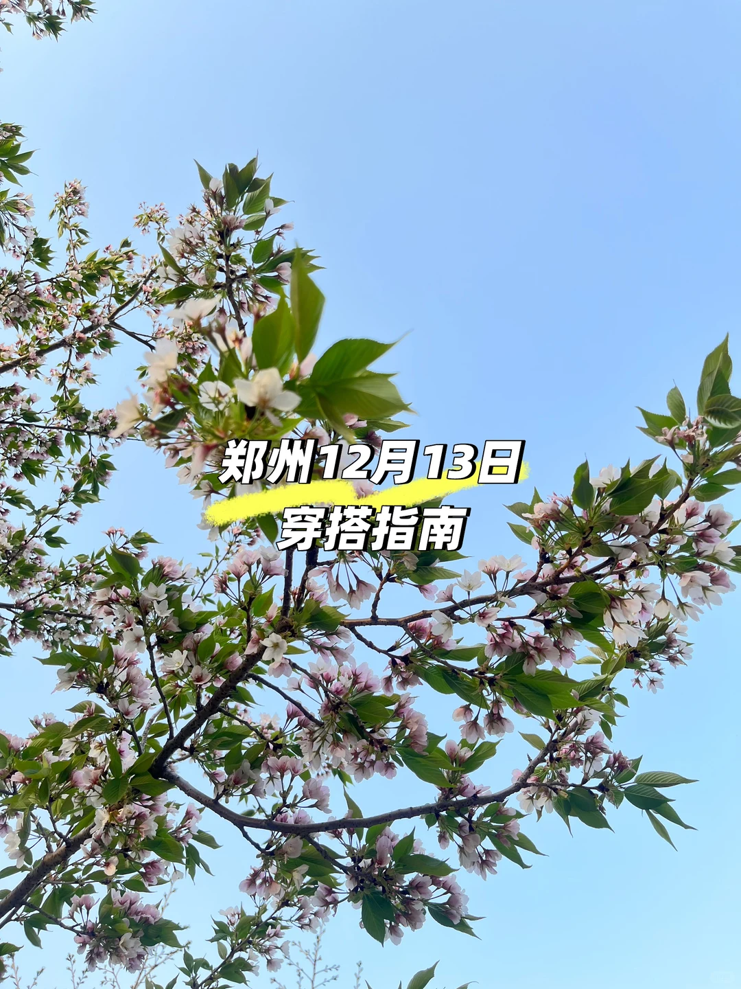 郑州明日-5℃穿搭指南🔥