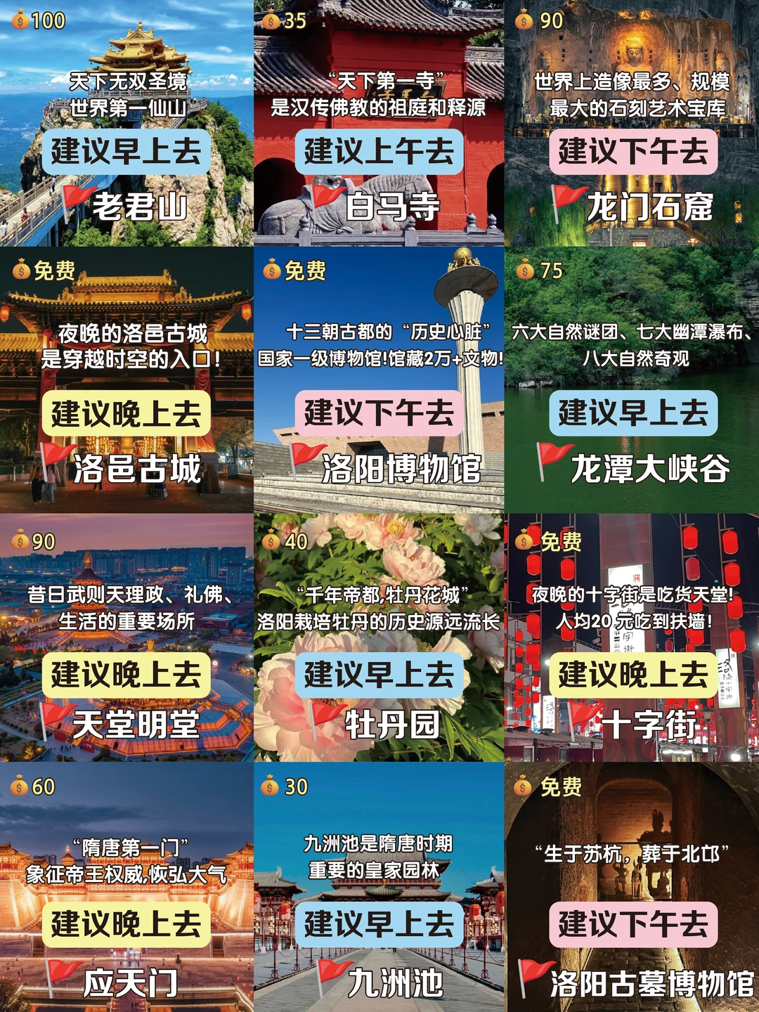洛阳已回，再也不用听小红书乱说了❗❗