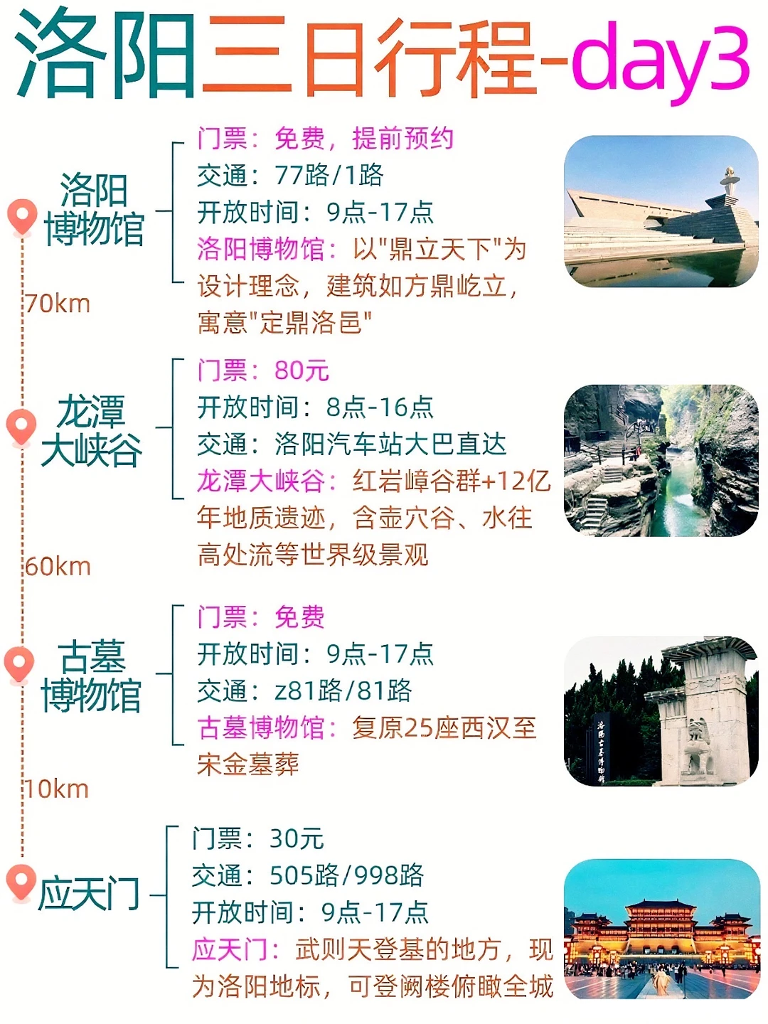 🌟刚从洛阳旅游回来，含泪总结避坑攻略