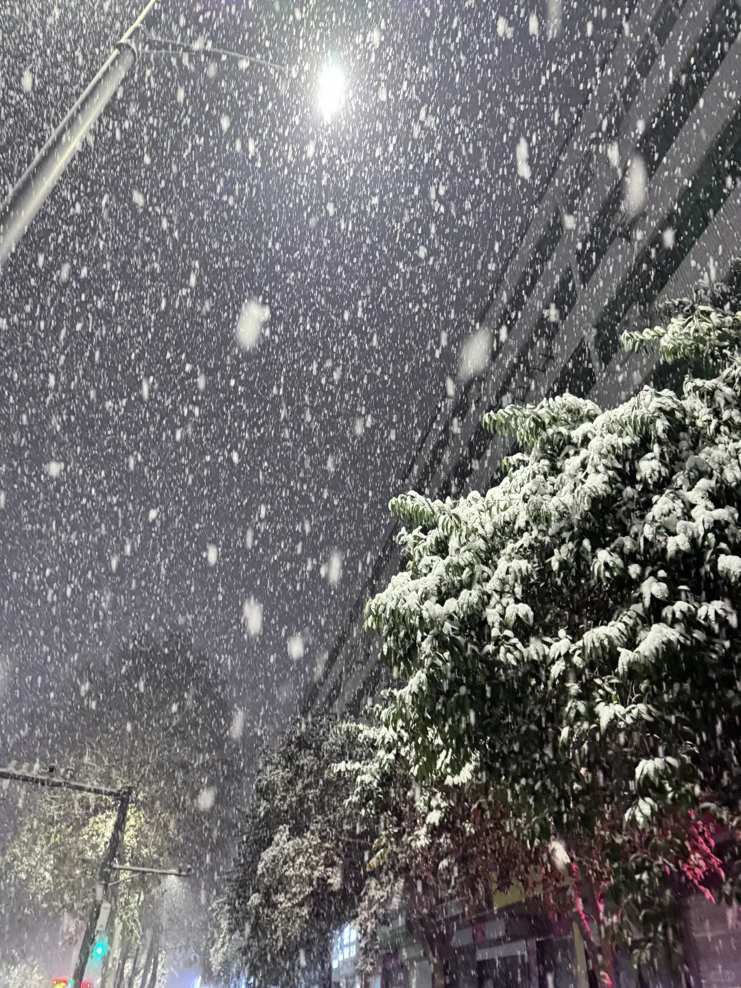 12月12郑州大雪实况