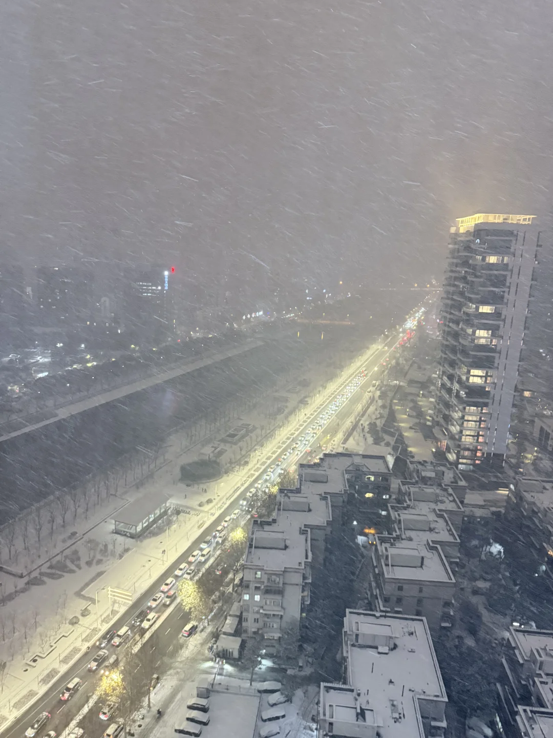 下大雪了 谁敢信这是郑州