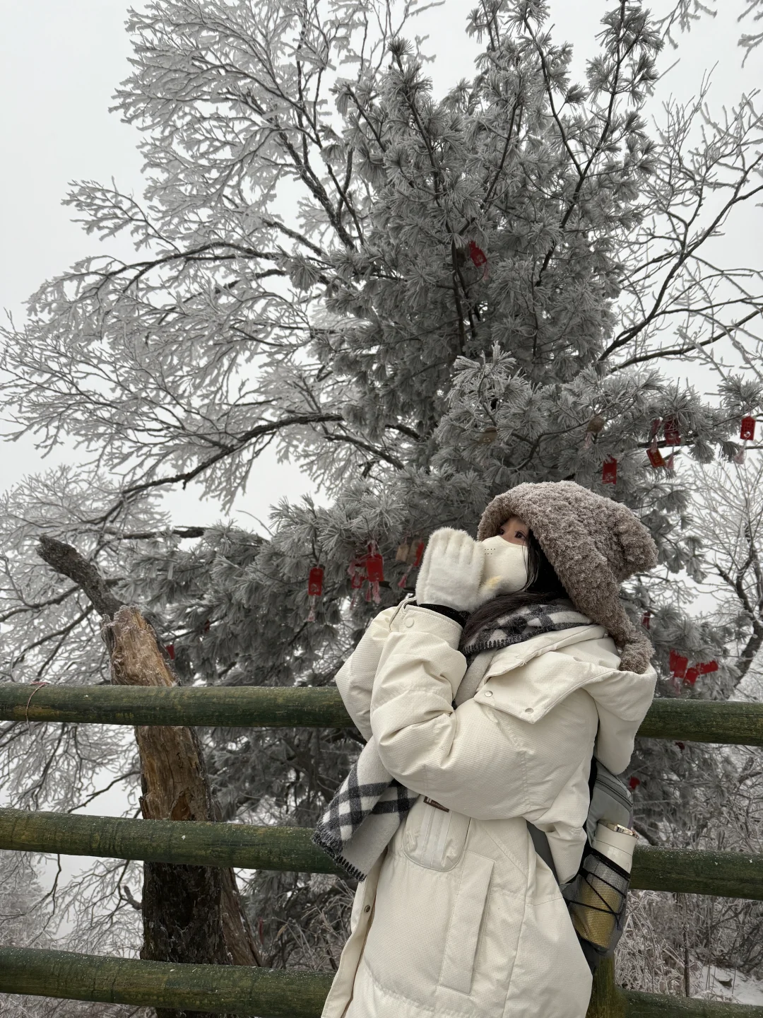 第一次独自旅行城市：洛阳