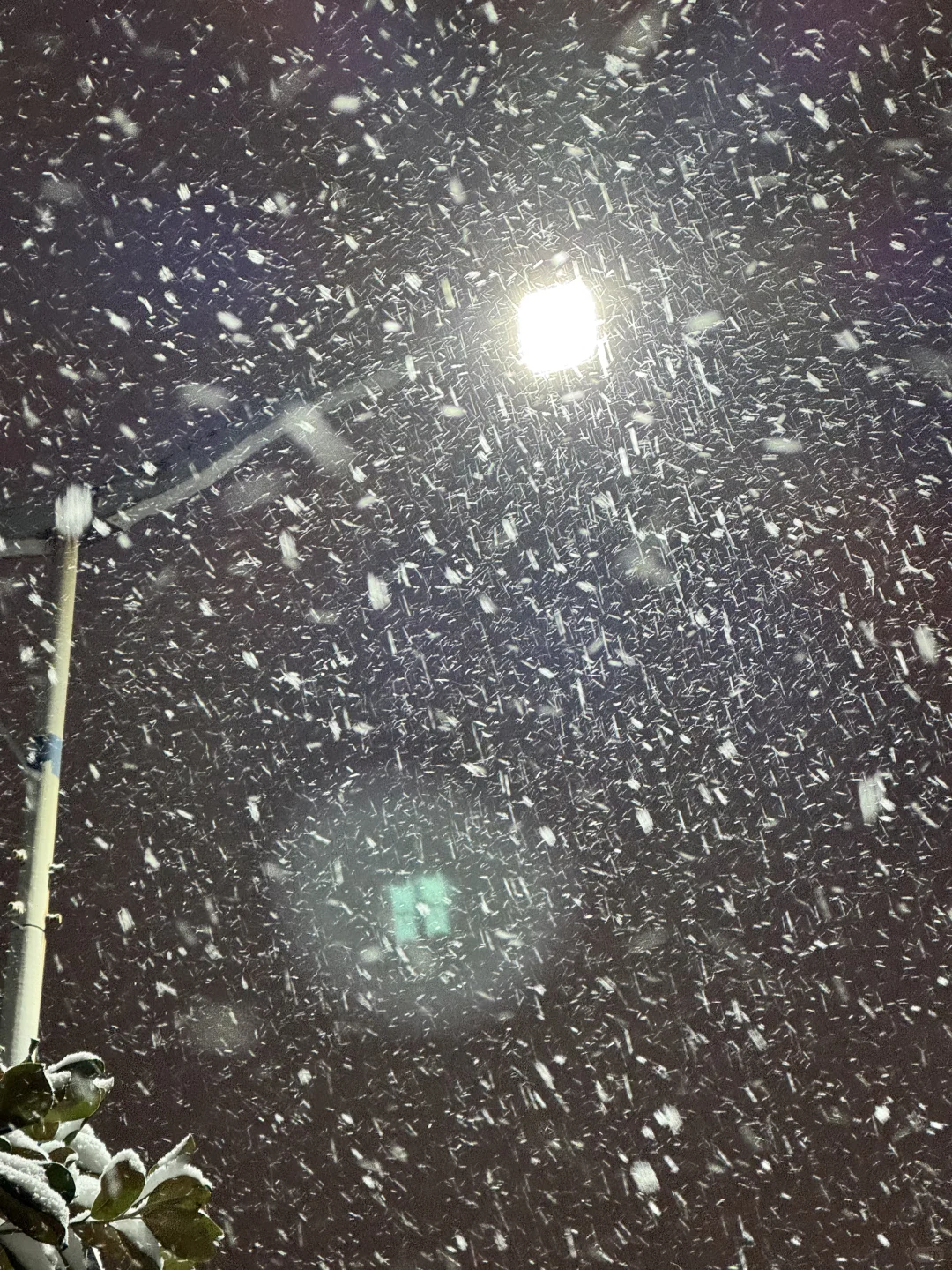 郑州今年初雪！