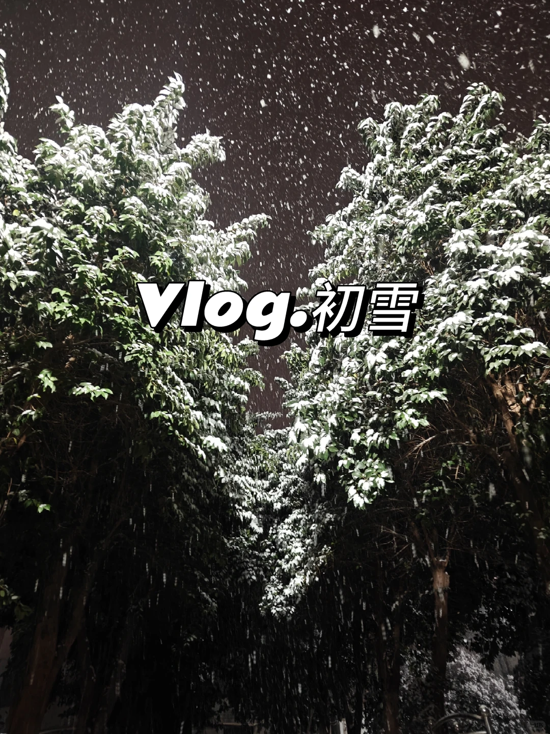 洛阳1212初雪～