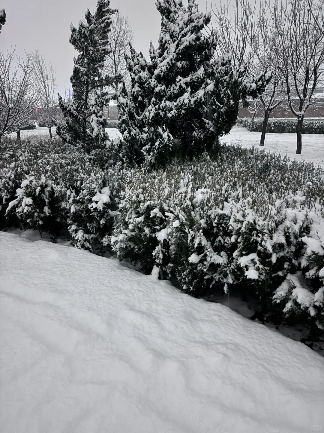 12月12郑州大雪实况
