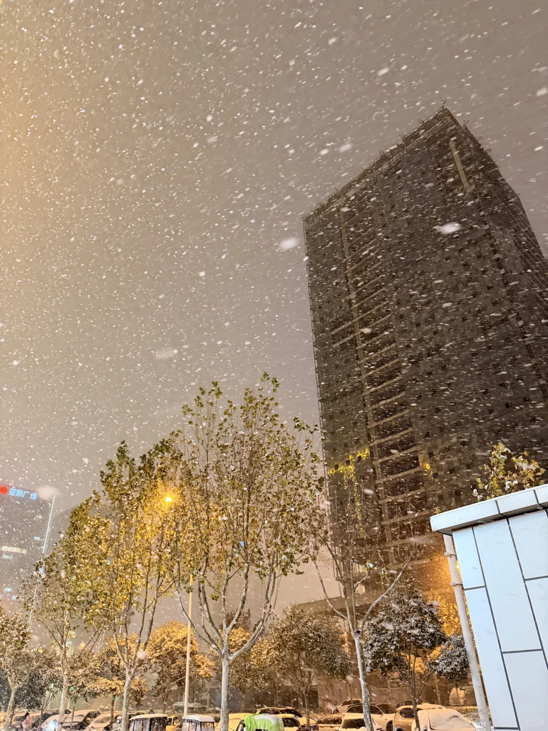 郑州的大雪❄️