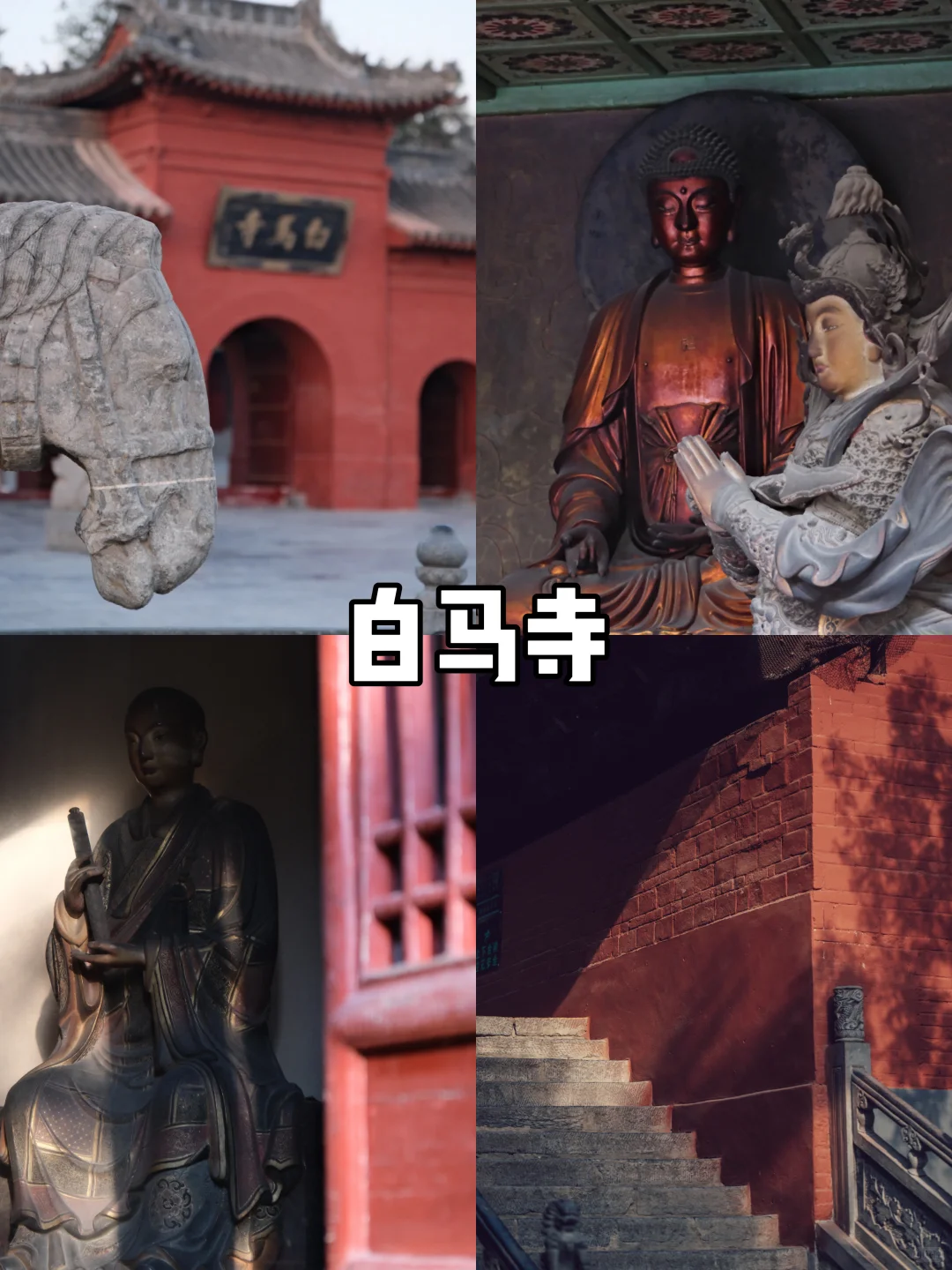 【河南篇-洛阳】洛阳很美，下次还来