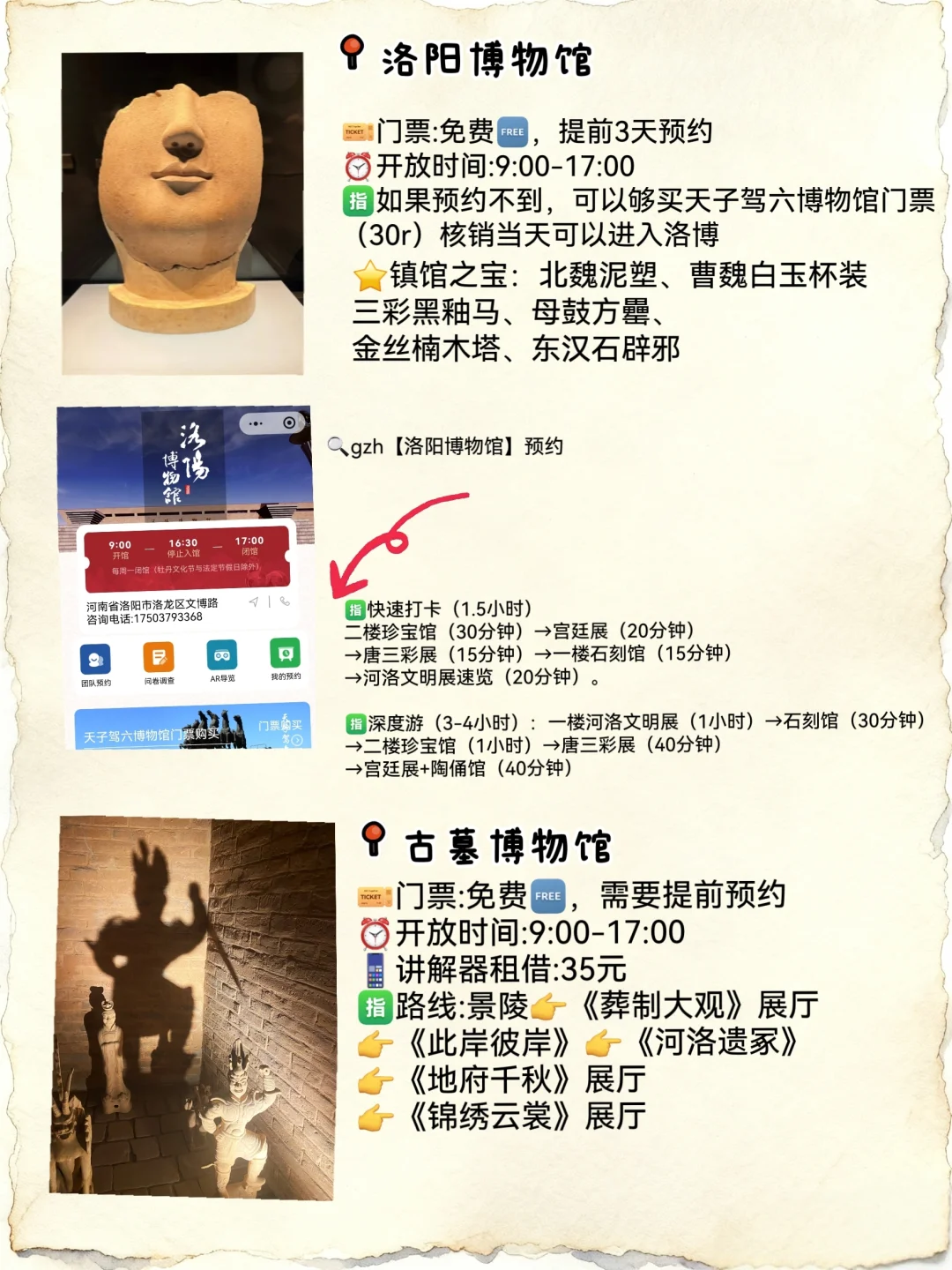 吐血整理‼️全是洛阳的血泪经验‼️