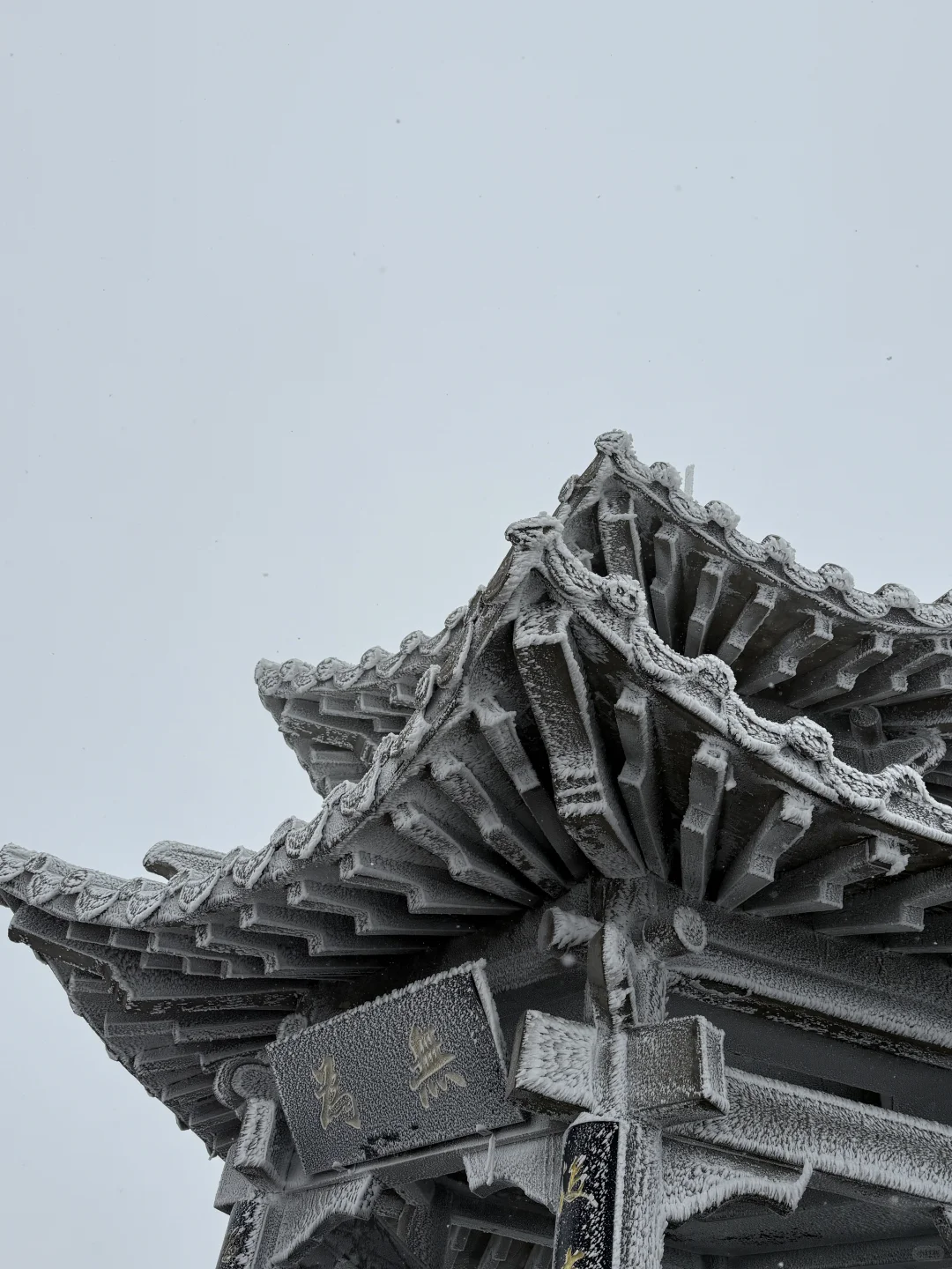 第一次独自旅行城市：洛阳