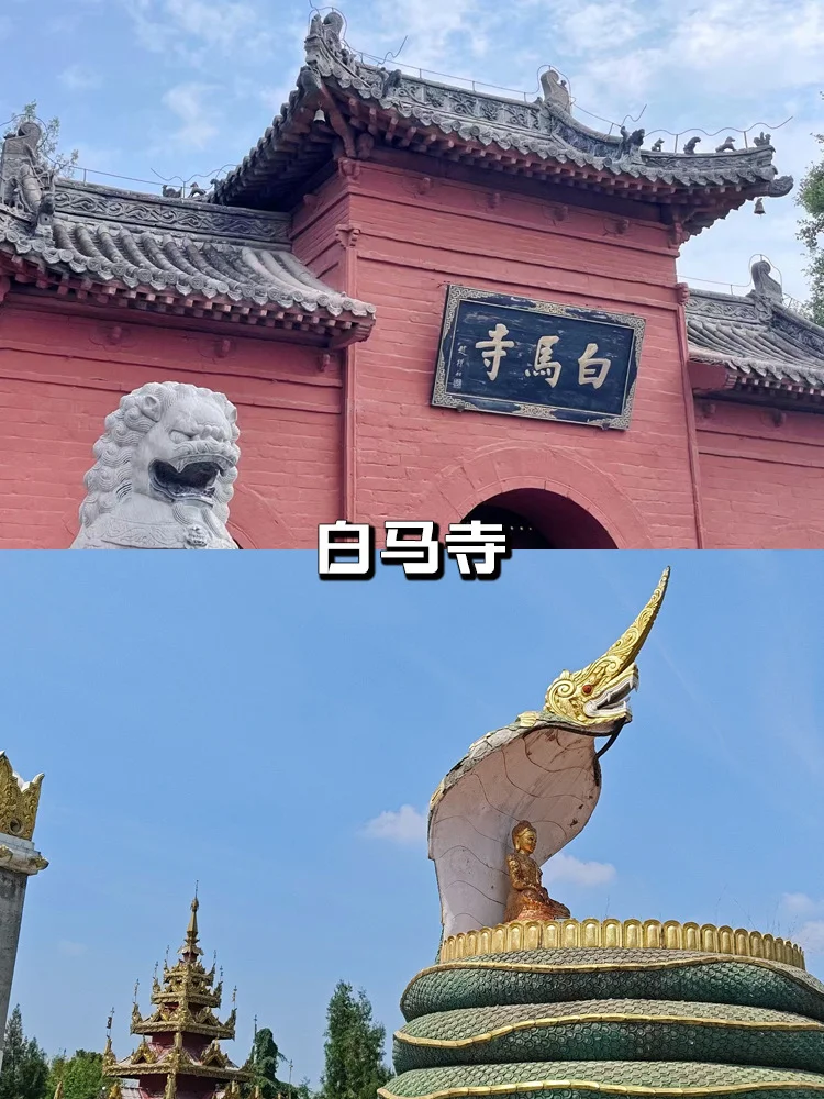 🏮洛阳亲子游攻略❗️四天三晚自驾避坑指南～