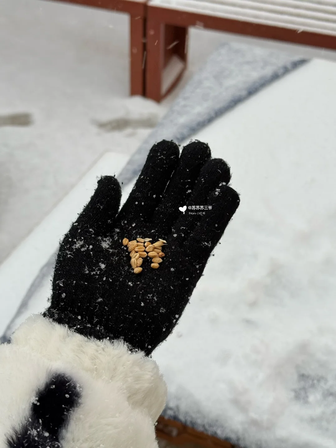 握天！！只有河南下雪这么美！！！