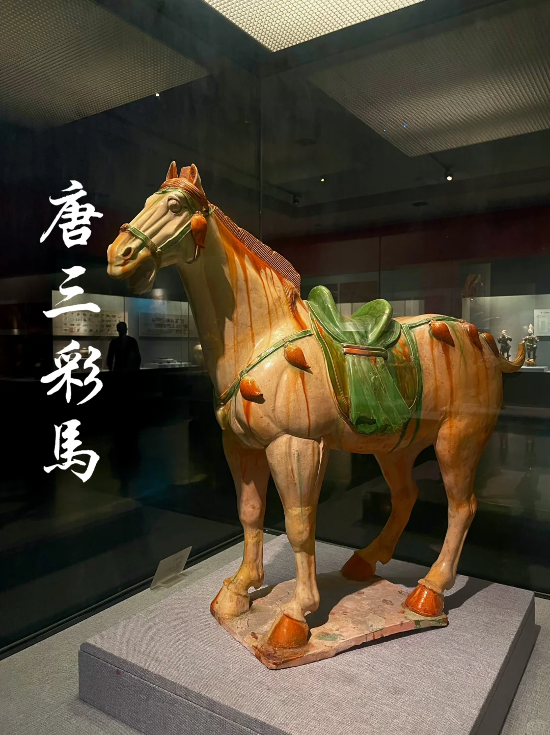 这里真的很值得一来 洛阳博物馆