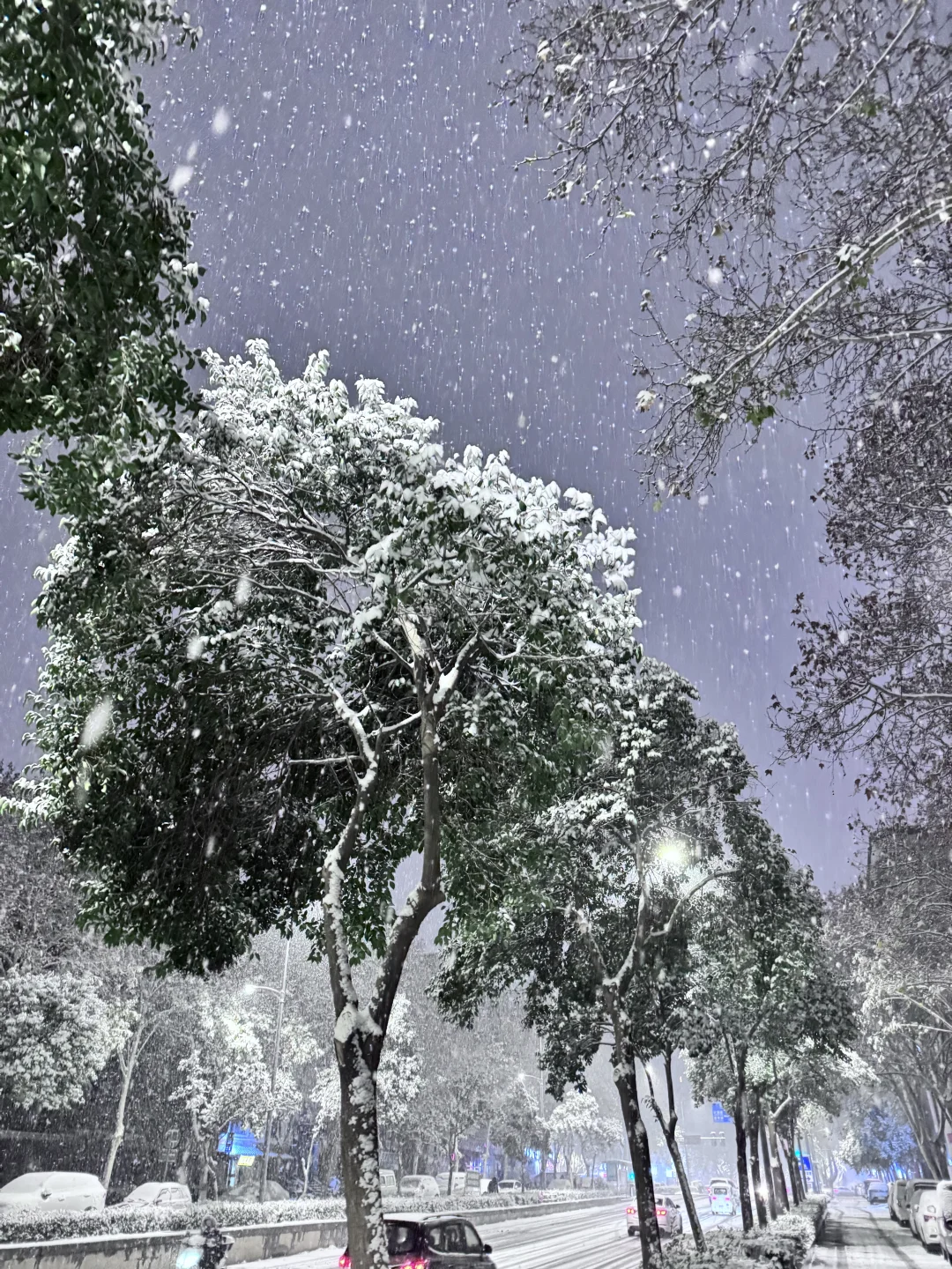 12月12郑州大雪实况