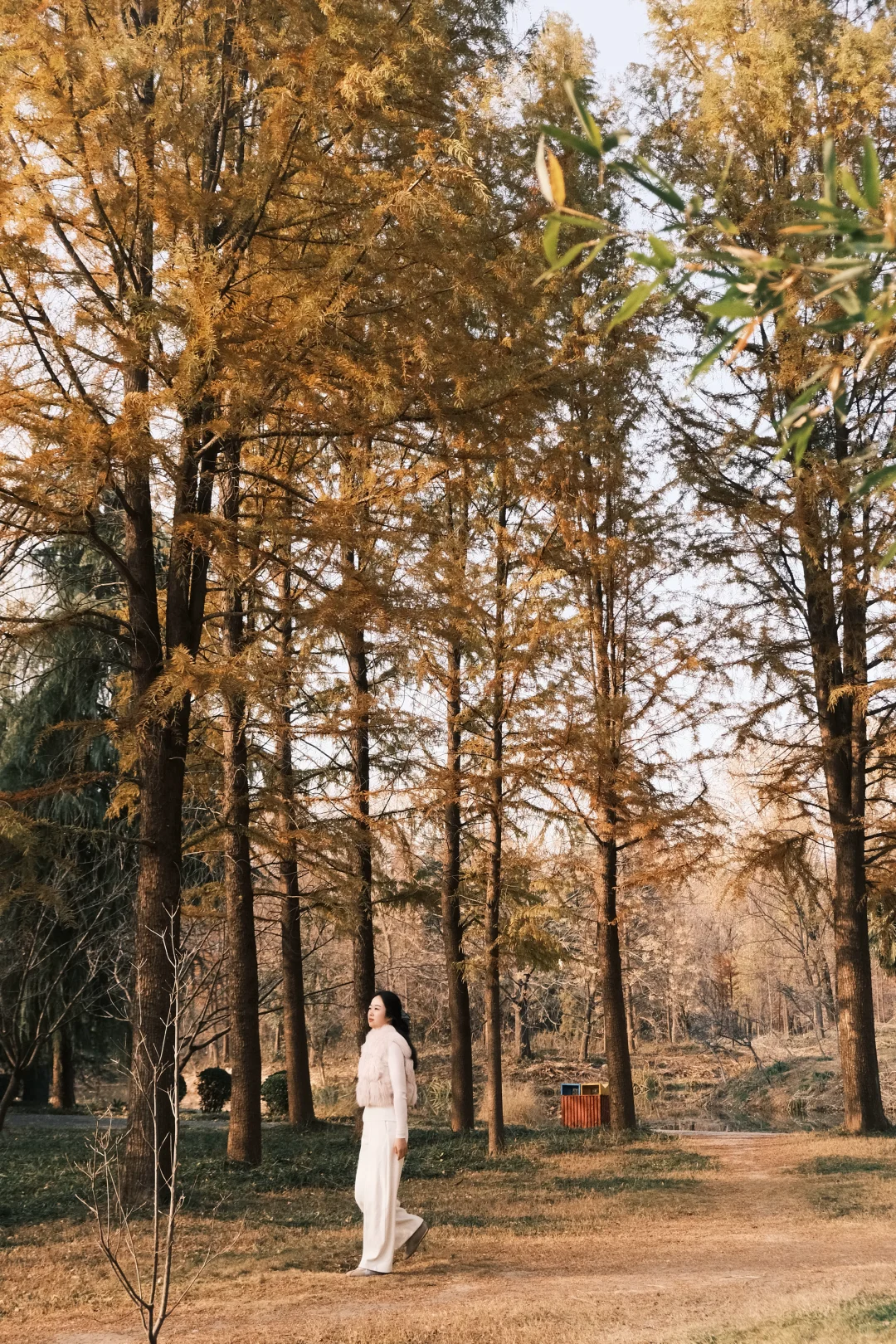 不是在大兴安岭，是在洛阳的小公园！