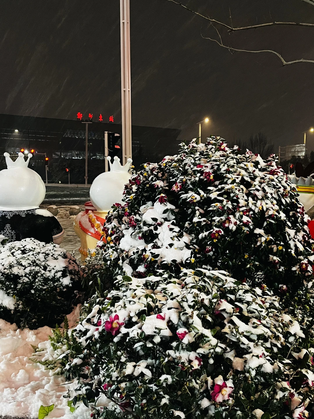 郑州12号的初雪，让我也赶上啦❄️