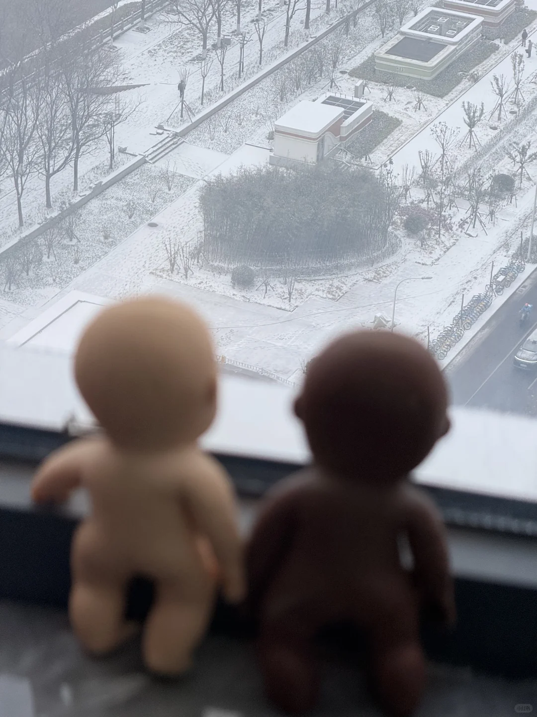 下大雪了 谁敢信这是郑州