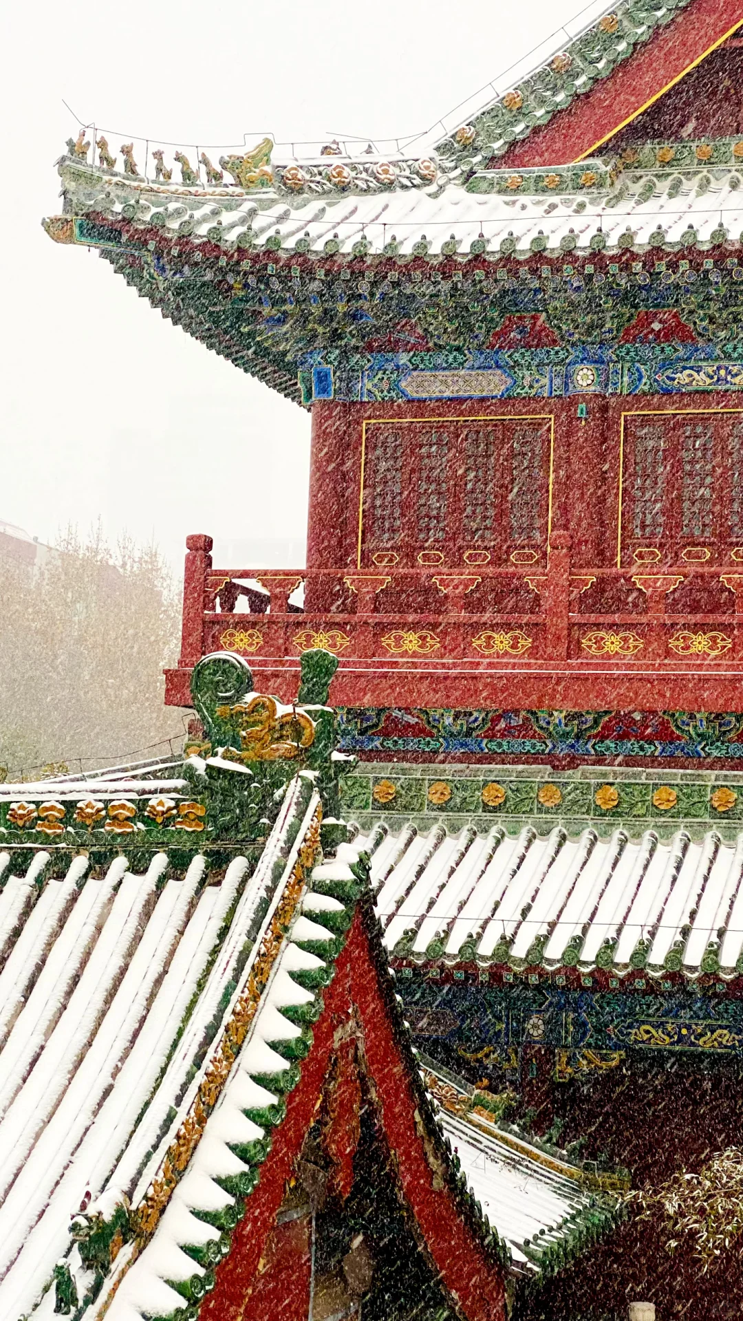 我在郑州文庙拍出了大雪中故宫既视感