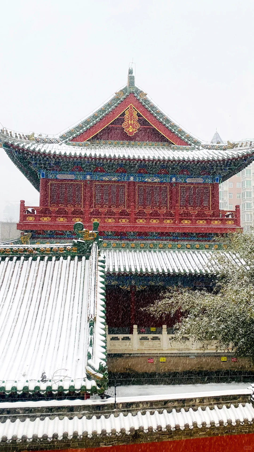 我在郑州文庙拍出了大雪中故宫既视感