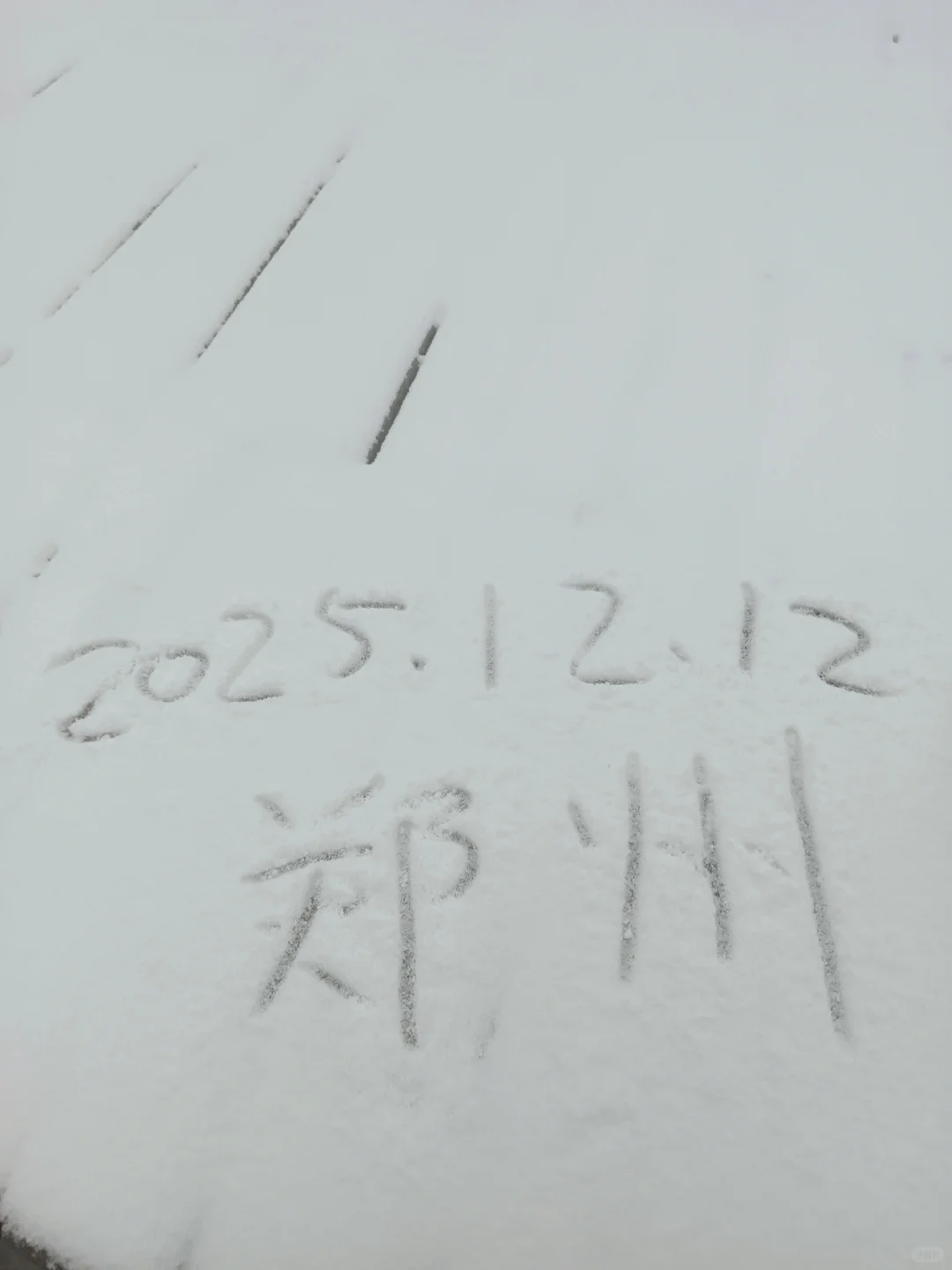 郑州第一场雪 想要一张都是雪景的评论区