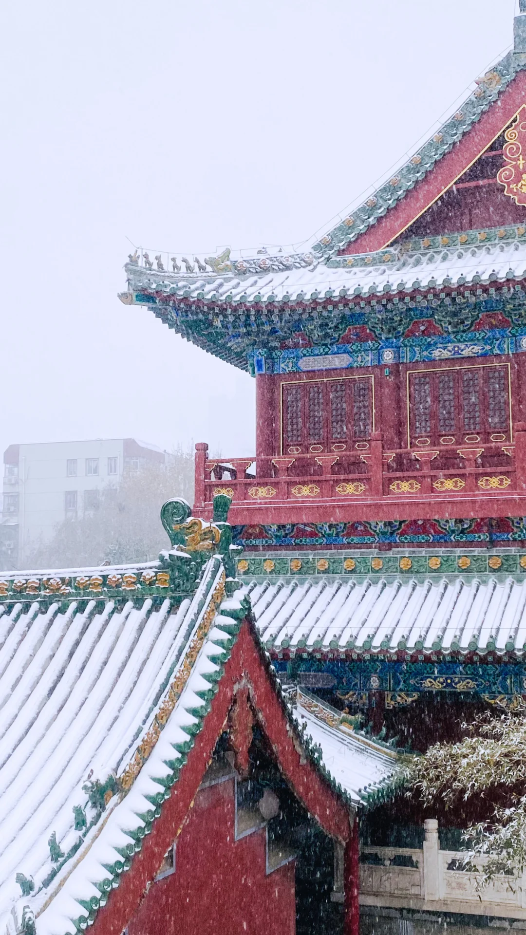 我在郑州文庙拍出了大雪中故宫既视感